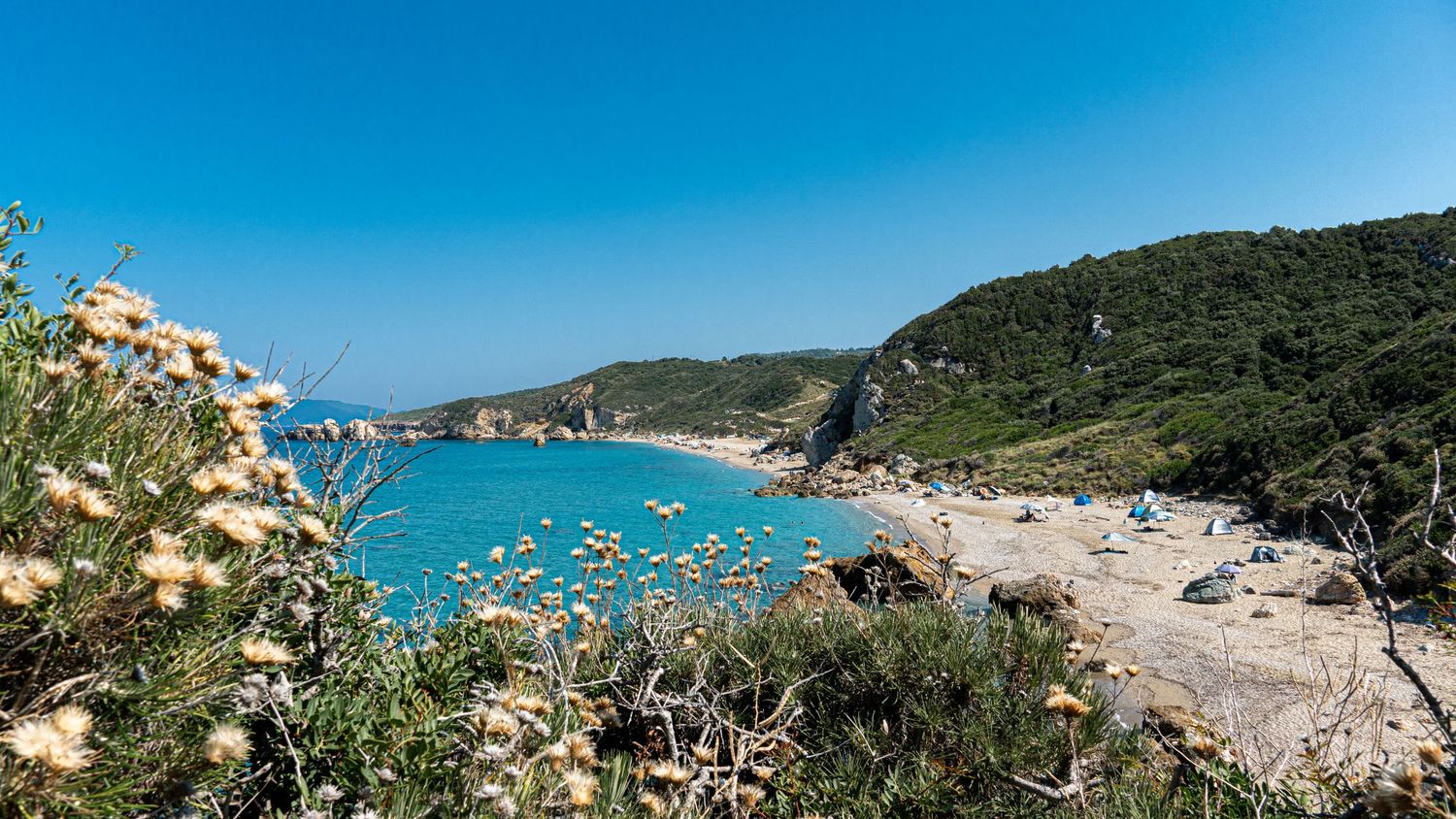 Scenic coastal bay with turquoise water, wildflowers, and lush green hills under clear blue sky.