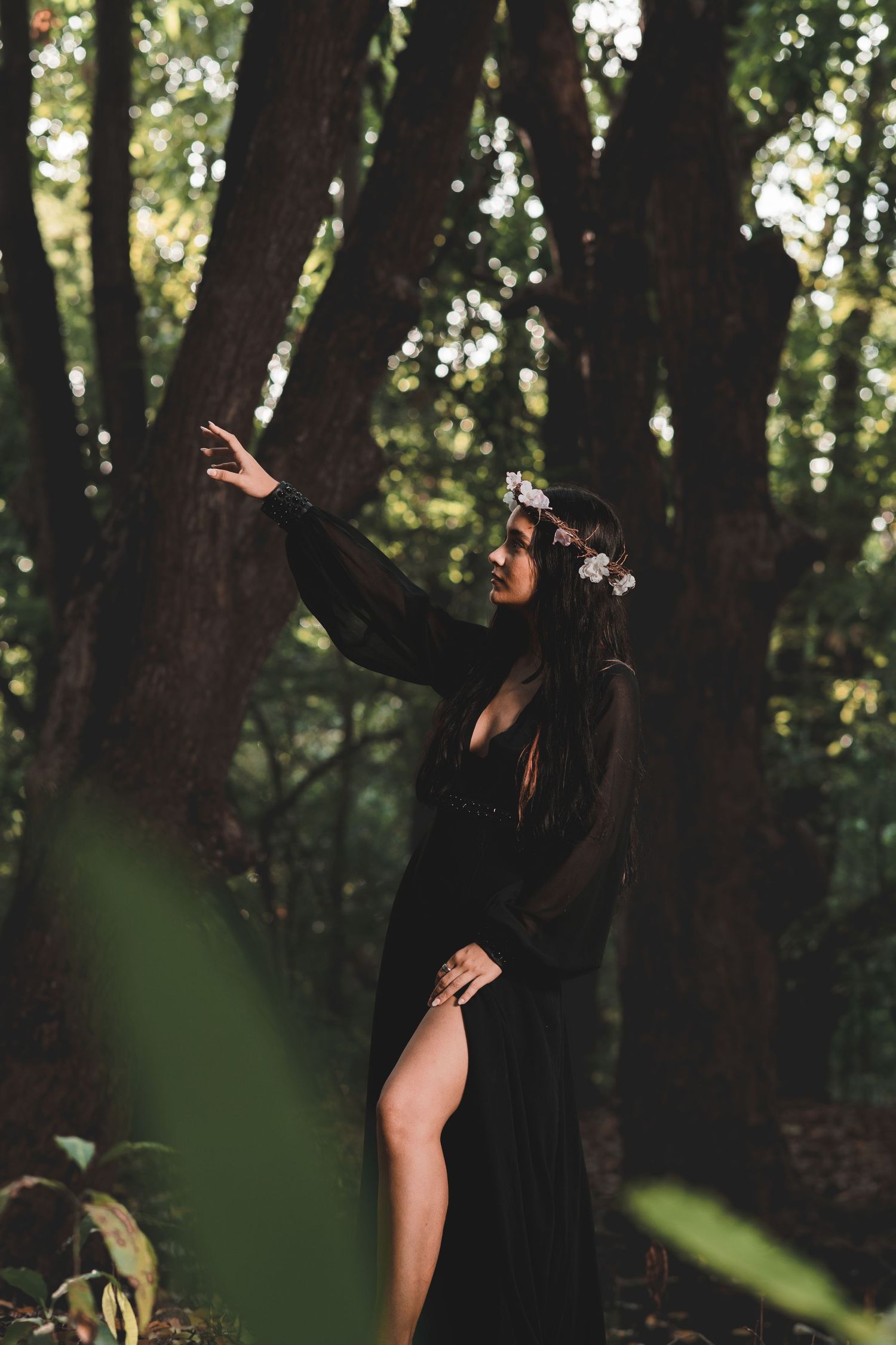 Woman in black dress with floral crown poses gracefully among tall trees in a dark enchanted forest.