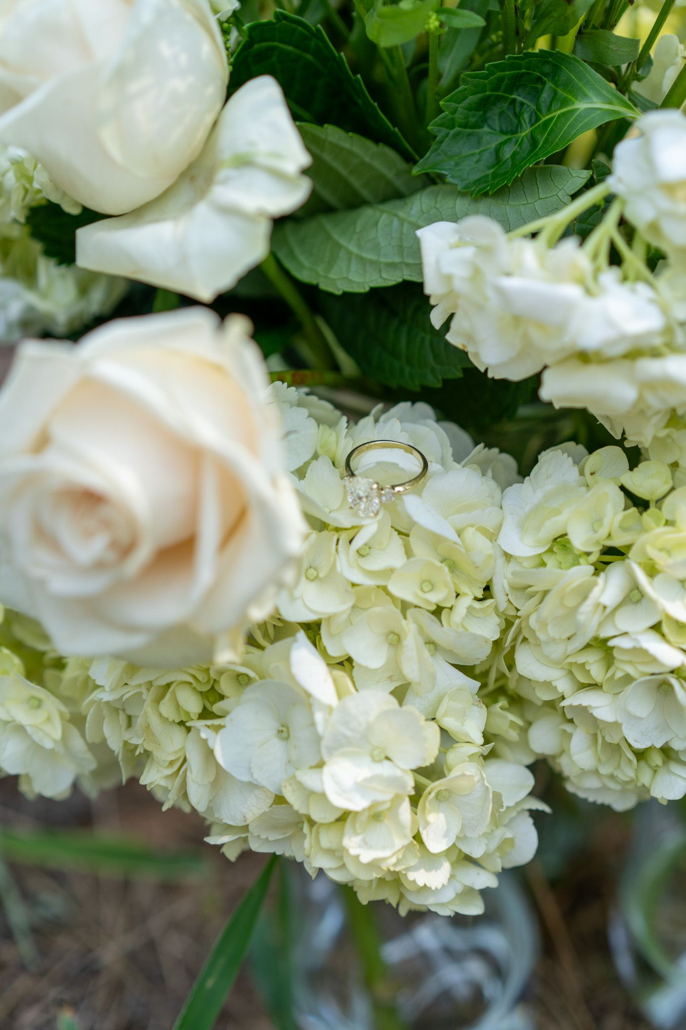 Diamond engagement ring resting on white hydrangea flowers with cream roses in a bridal bouquet.