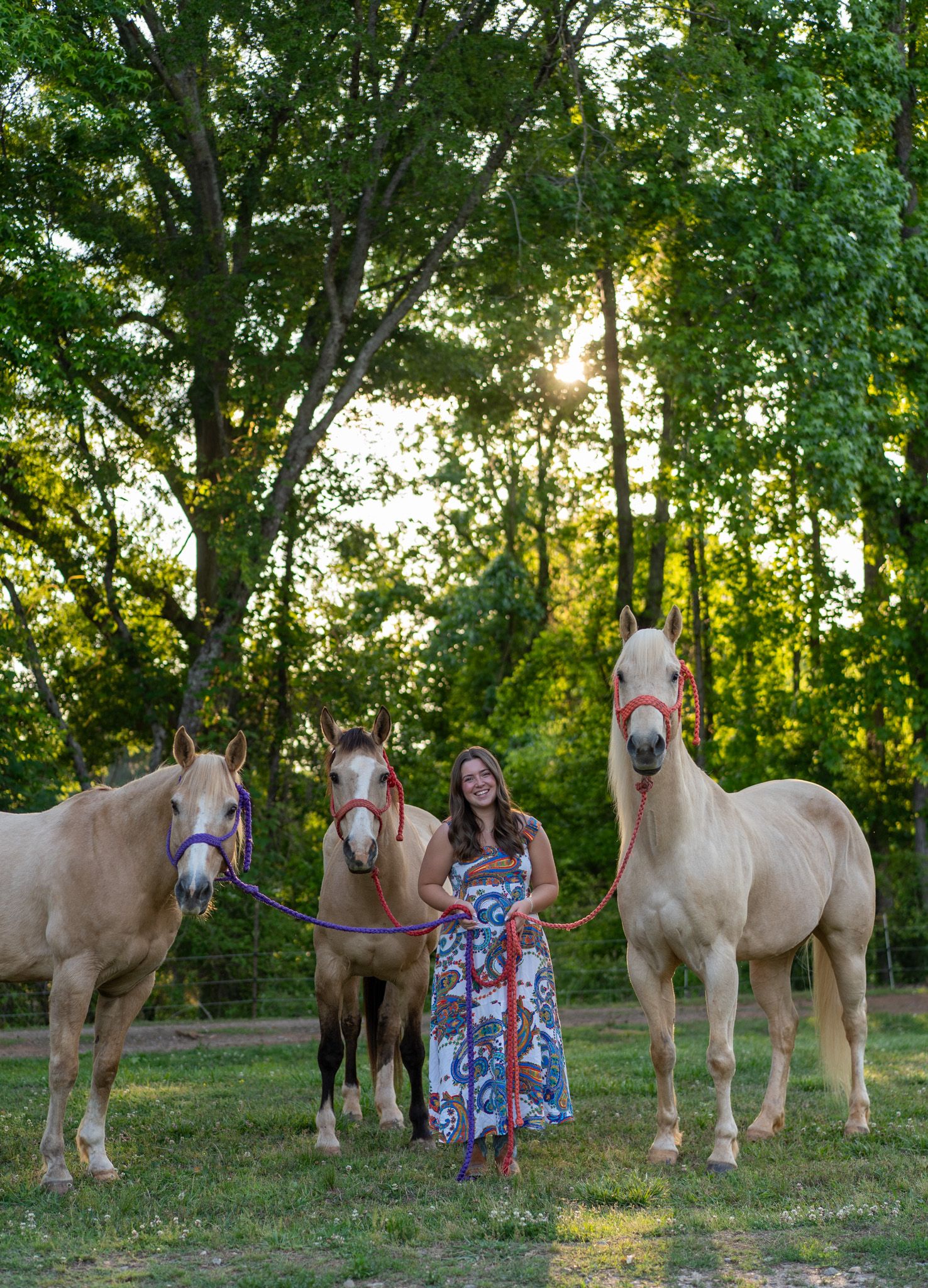 Woman in floral dress standing with three palomino horses in a sunny green pasture surrounded by trees.
