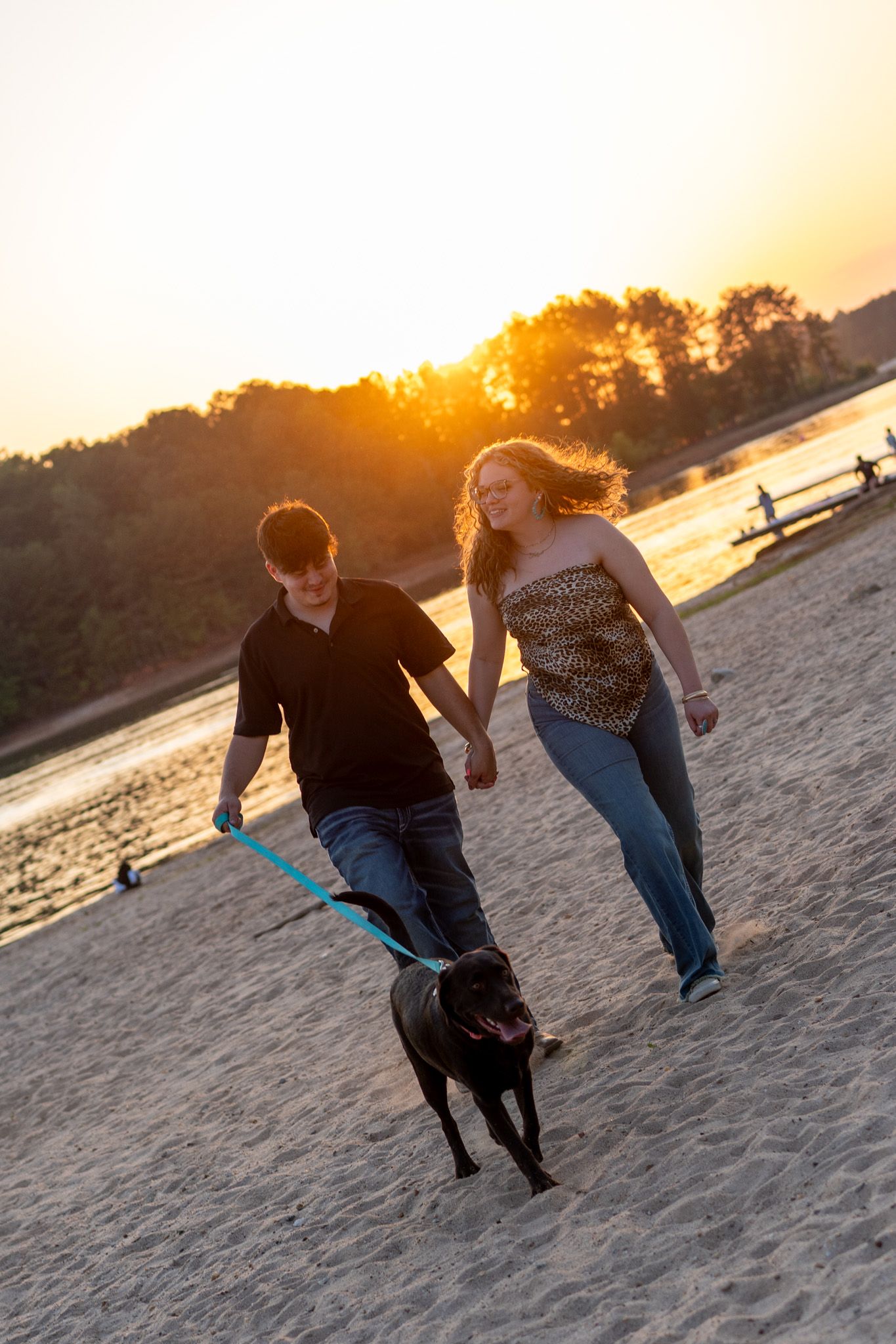 Couple walking chocolate Lab on leash along sandy beach at sunset.