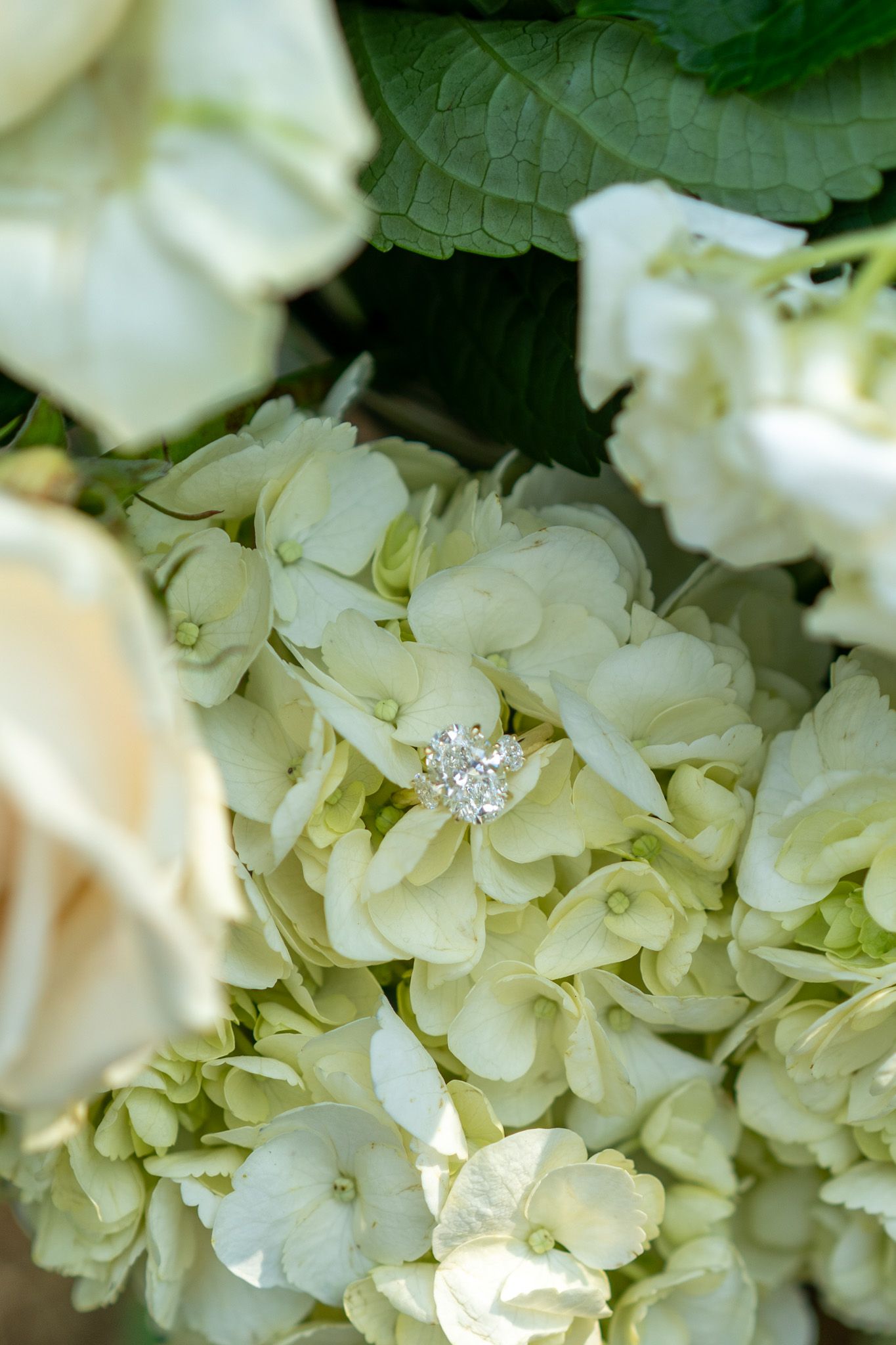 Diamond engagement ring nestled among white hydrangea blooms in a bridal bouquet.