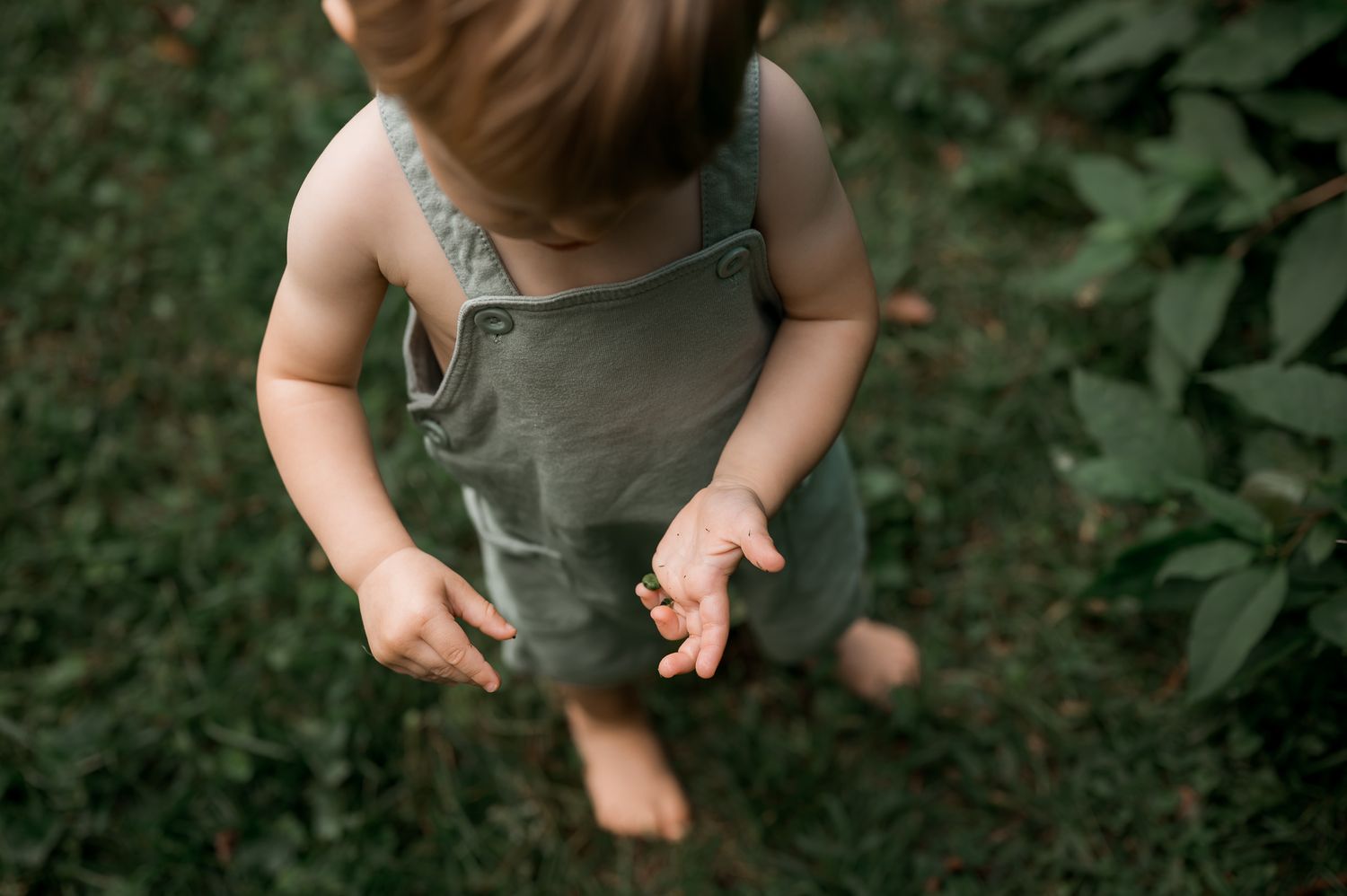 Close-up of toddler in green overalls holding a small object while standing on grass.