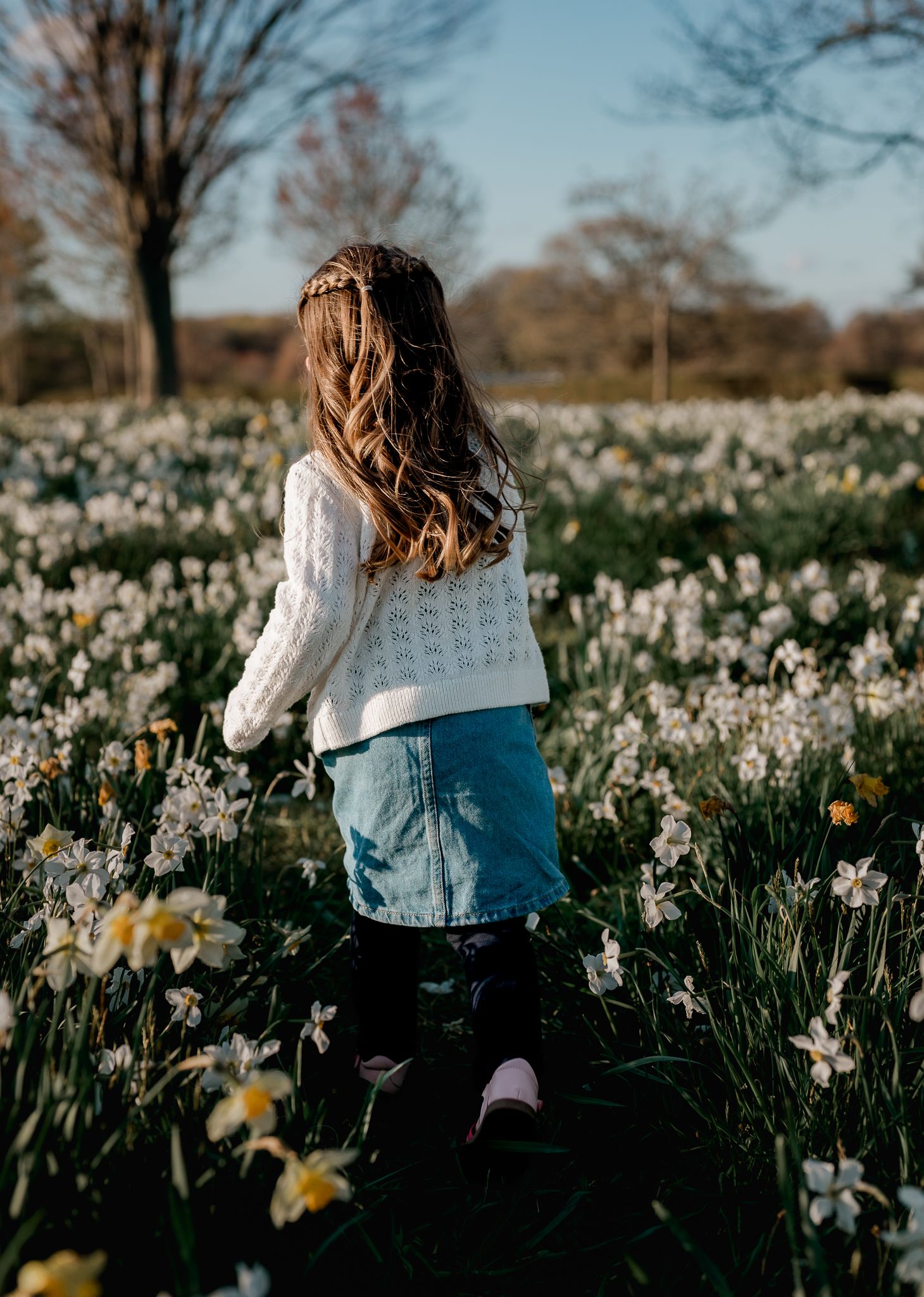 A young girl in a white sweater and denim skirt walks through a field of white daffodils on a sunny day.