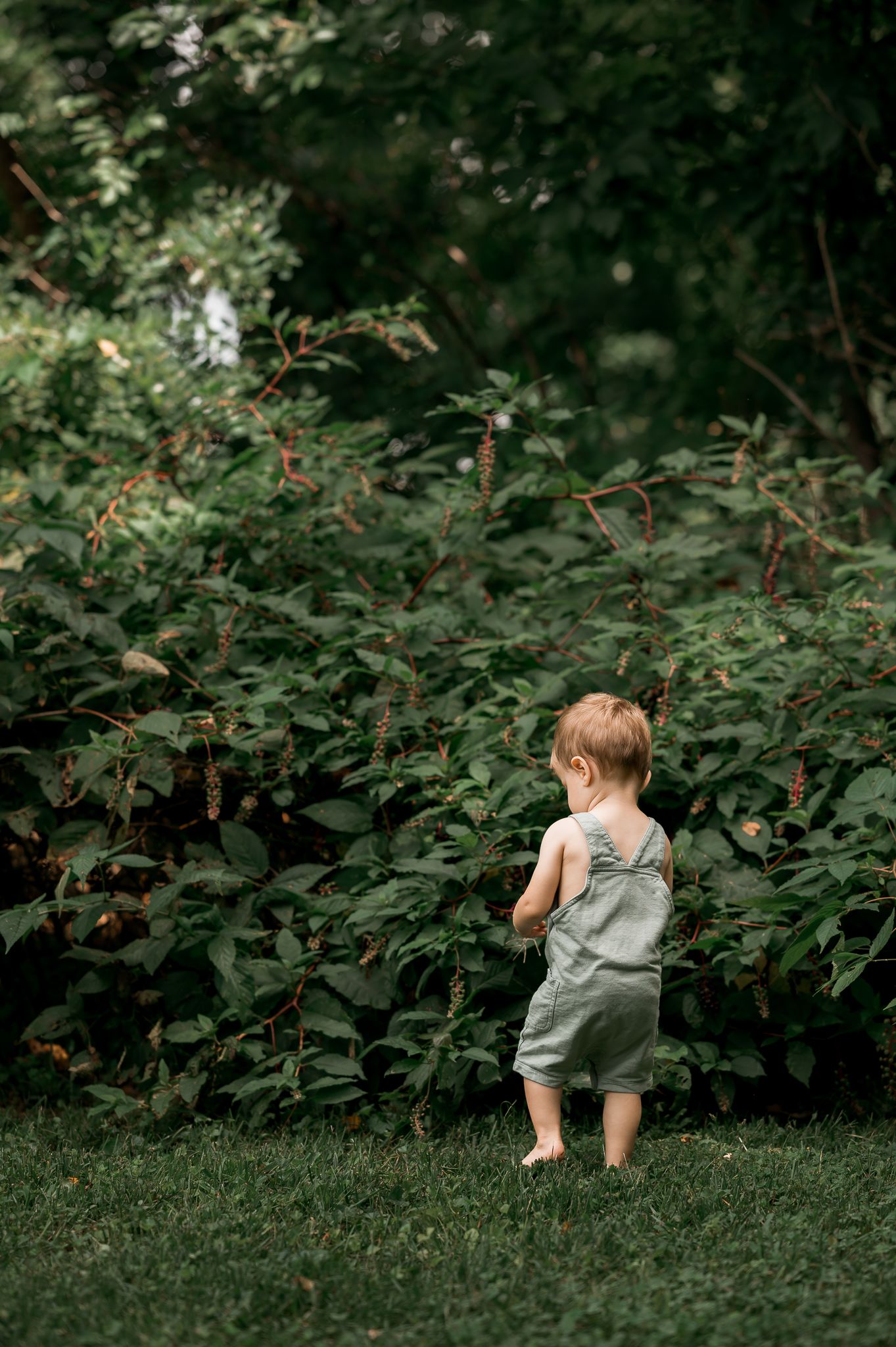 Toddler in gray overalls standing barefoot on green grass near lush garden bushes.