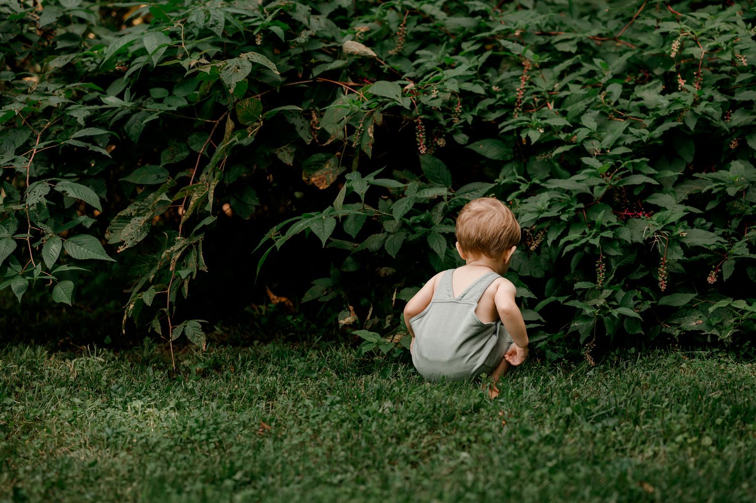 Curious toddler in green overalls sitting on grass exploring dense leafy bushes from behind.