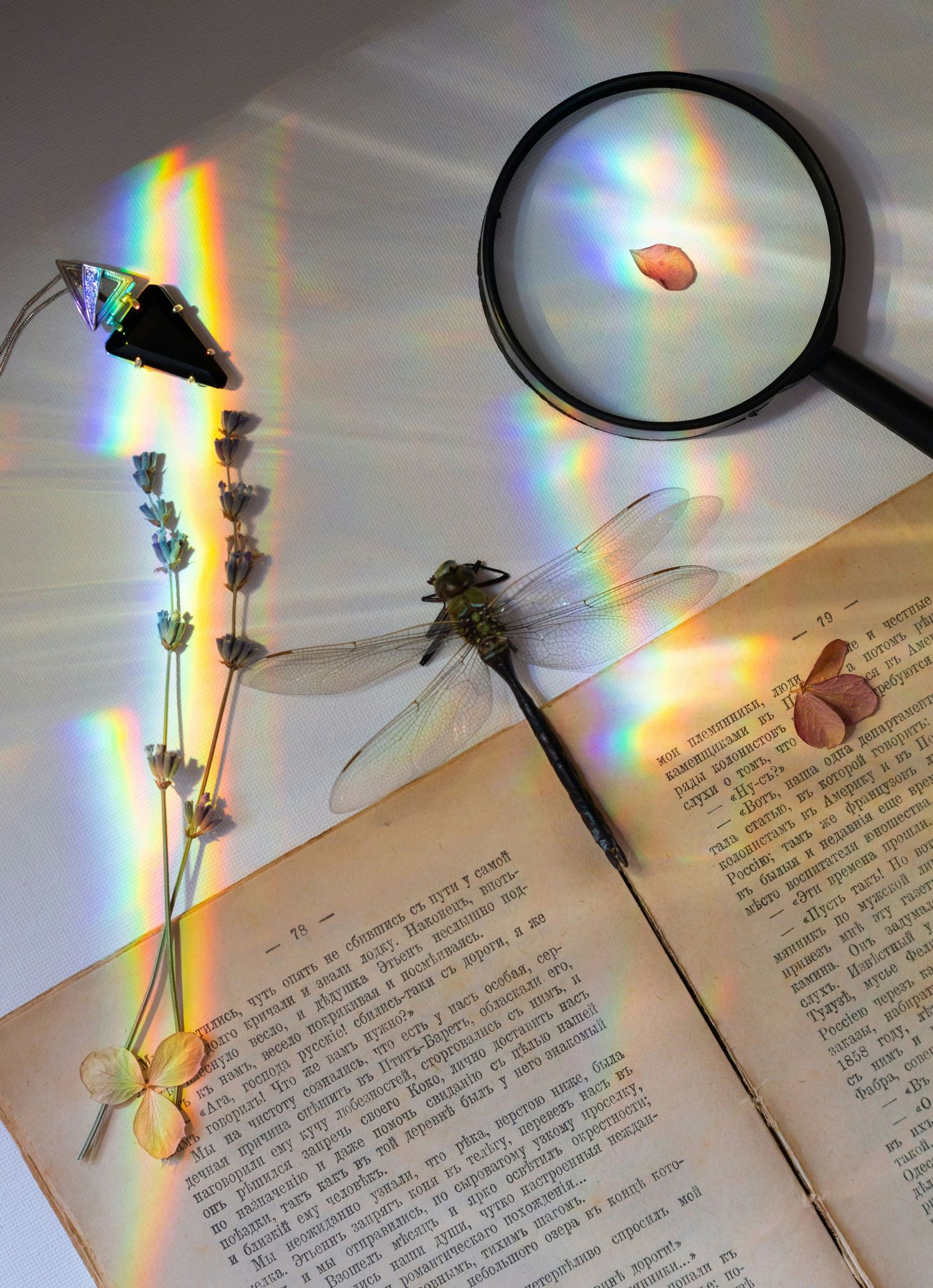 Rainbow prism light effects shine across an open book page with a dried flower pressed between its pages.