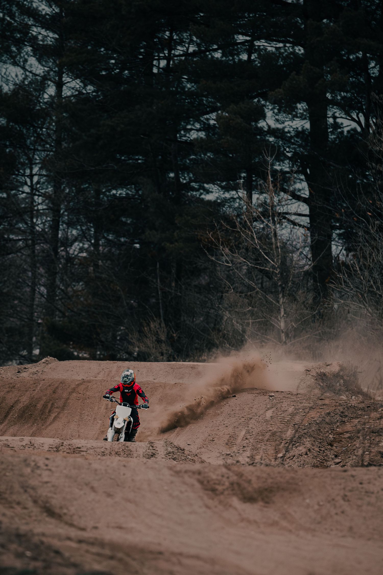 Motocross rider kicking up dust on a dirt track surrounded by tall pine trees.