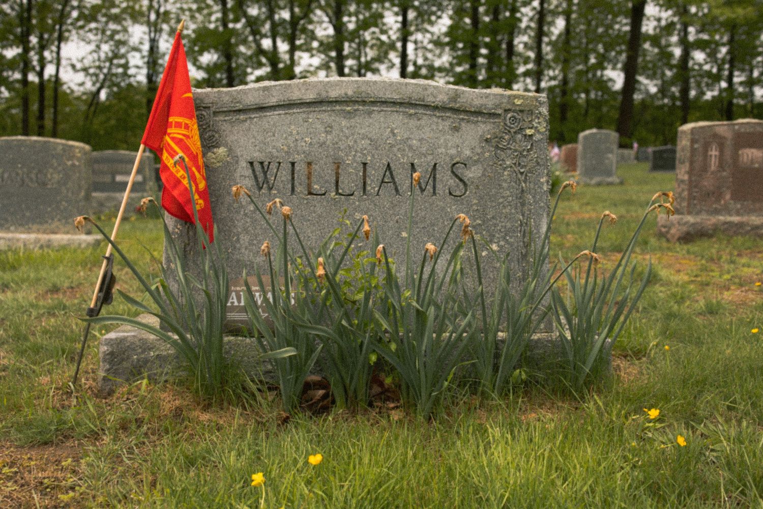 Williams family gravestone with red Marine Corps flag and iris plants in a peaceful cemetery setting.