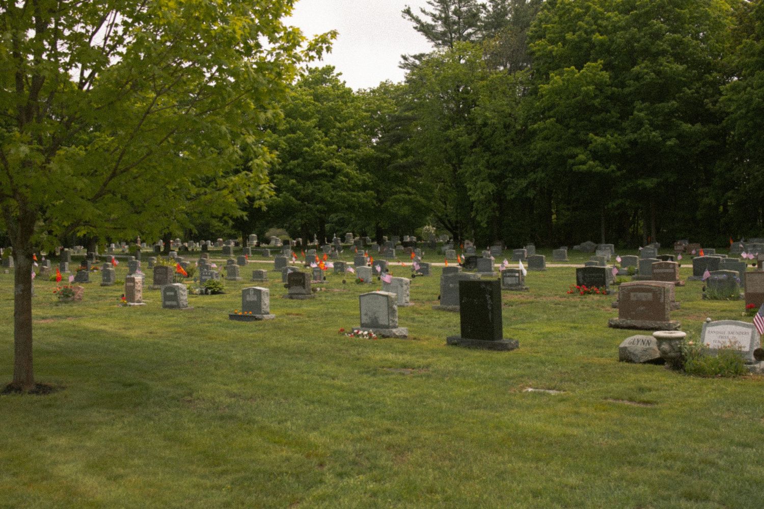 A peaceful cemetery with numerous gravestones scattered across a green lawn surrounded by tall trees.