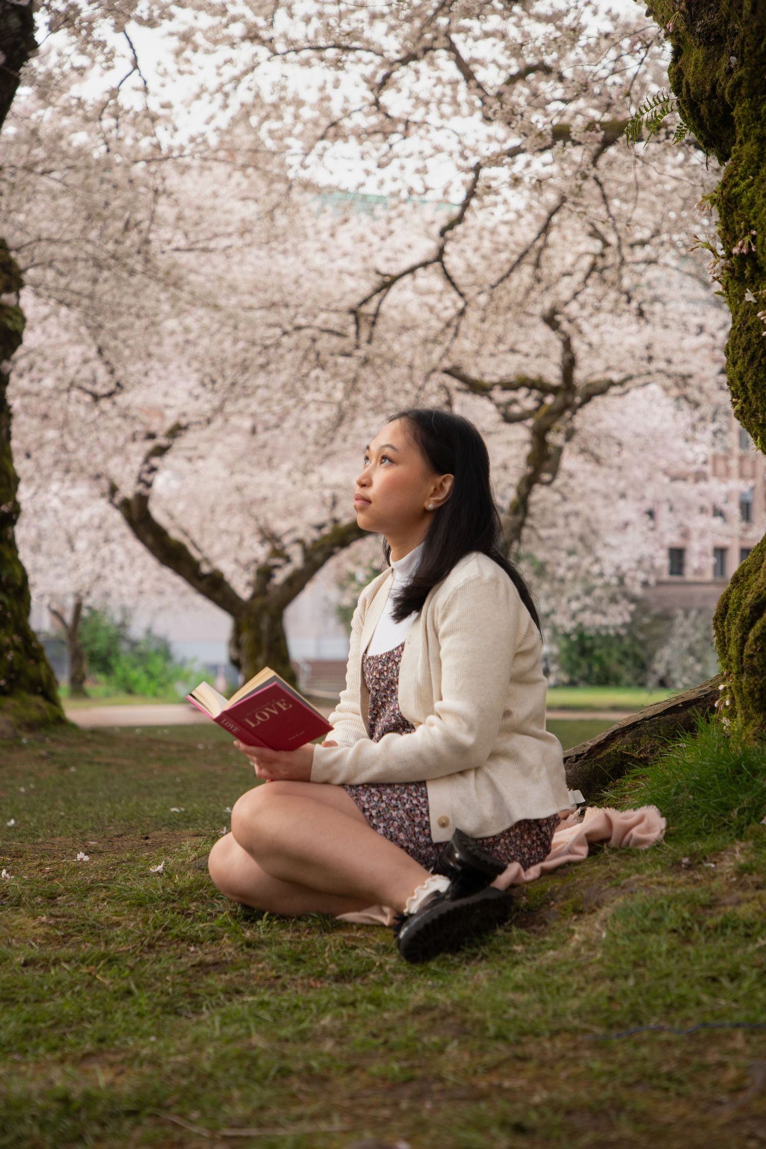 Woman reading beneath blooming cherry blossom trees during a spring portrait photoshoot at the University of Washington in Seattle