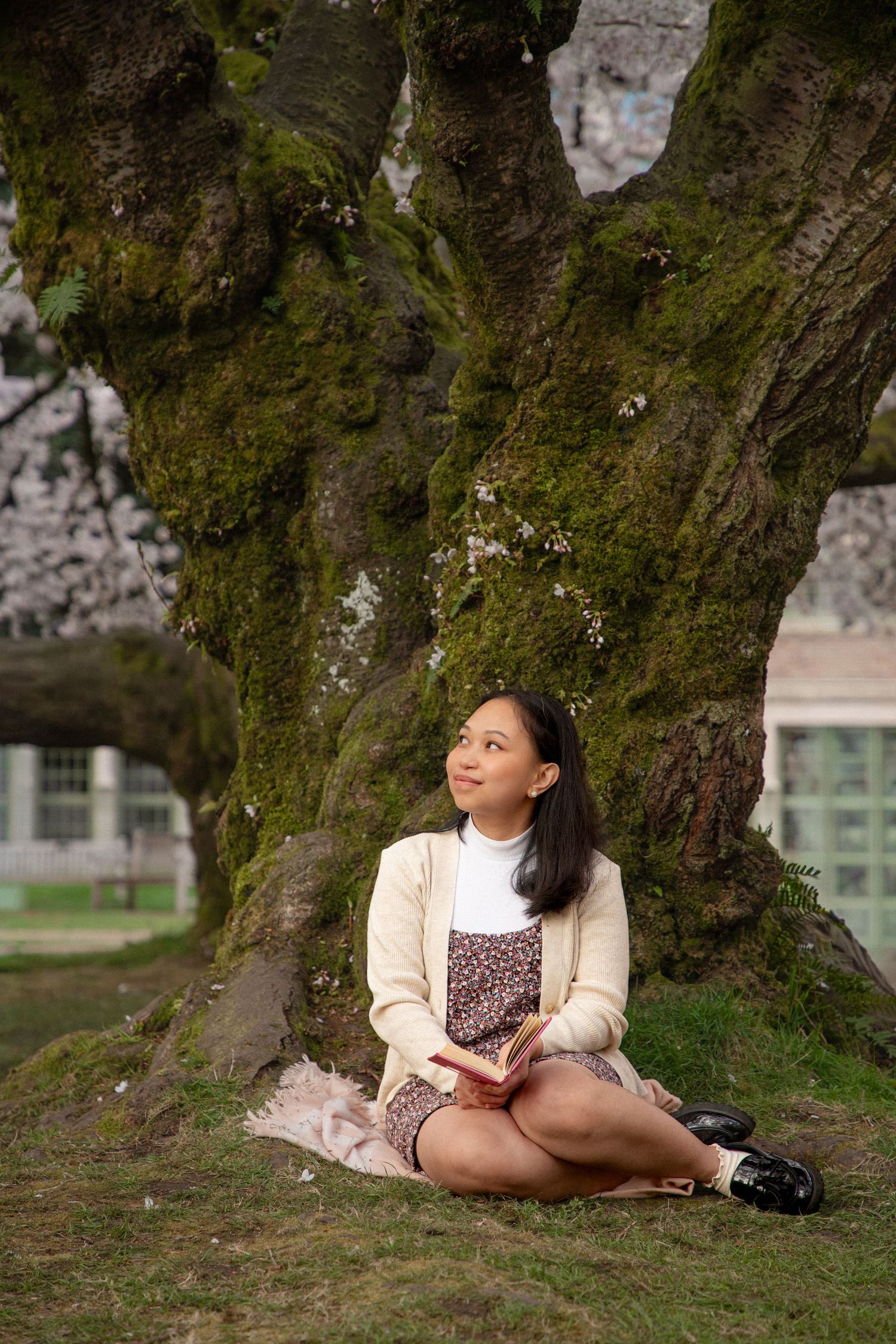 Woman sitting beneath a blooming cherry tree during a spring portrait session in Seattle, natural lifestyle photography outdoors
