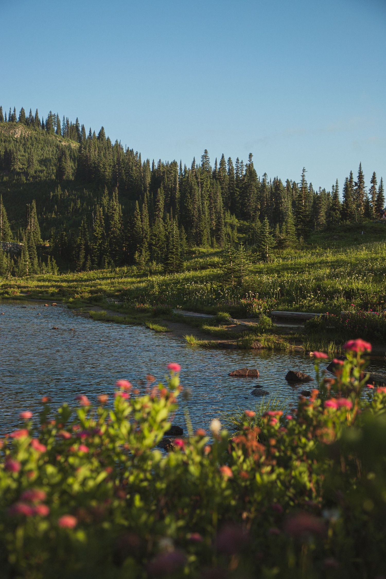 Tipsoo Lake during a golden hour elopement session