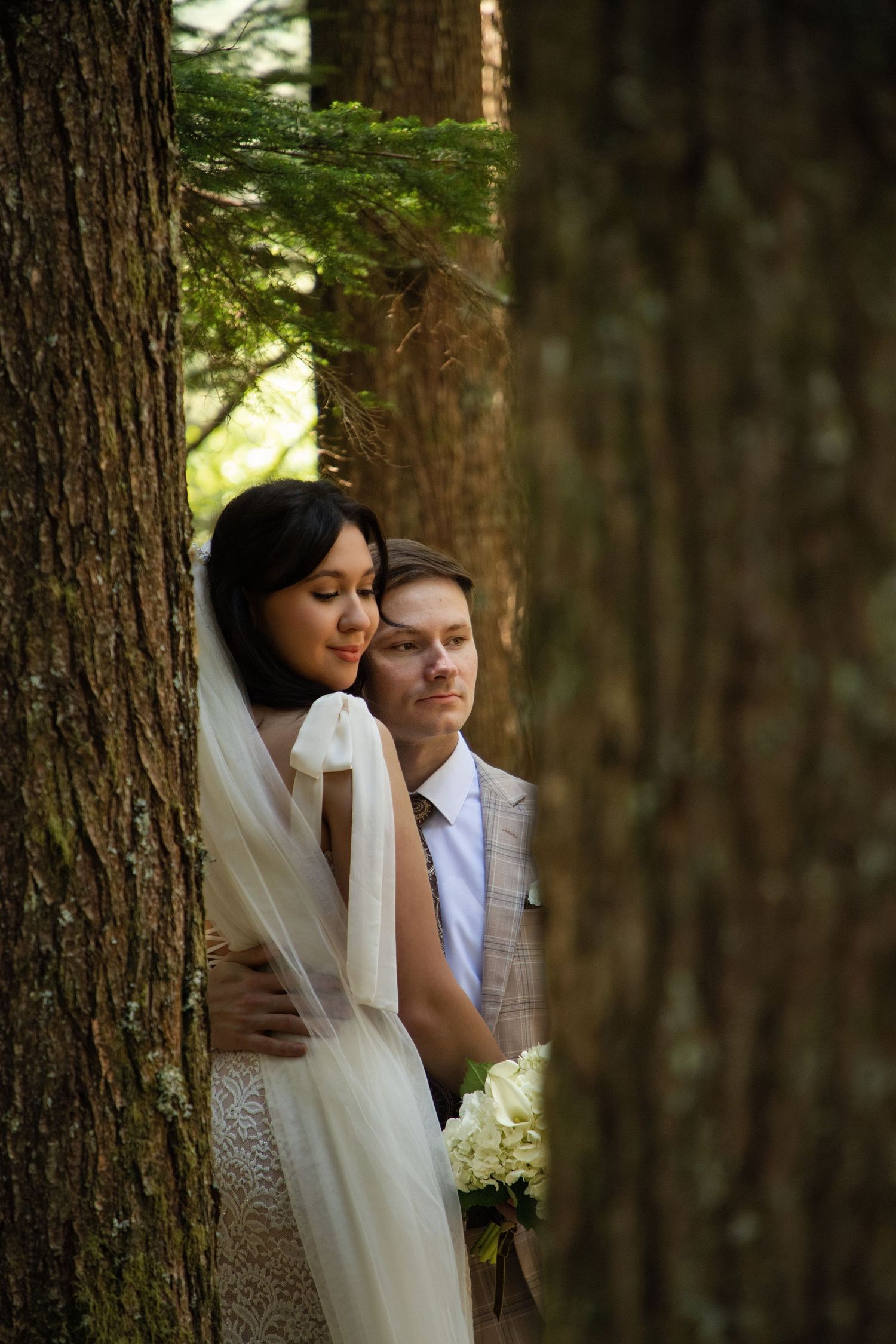 Romantic portrait of a newlywed couple surrounded by old-growth forest during a Washington elopement session