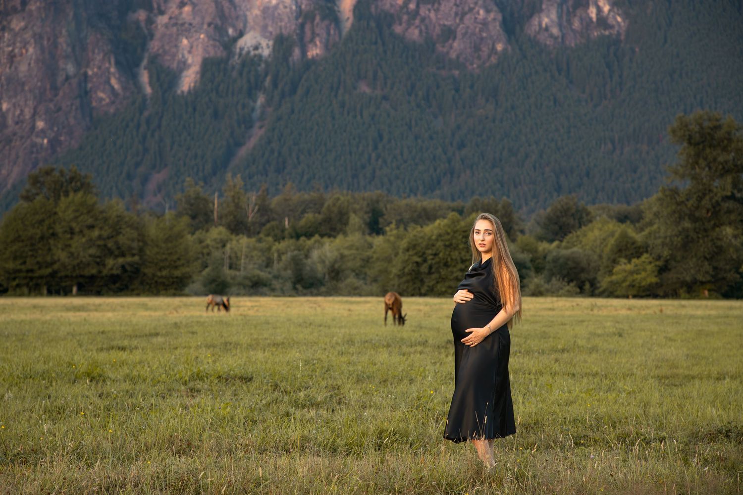 Pregnant woman in a black dress standing in a North Bend meadow with an elk and Mount Si in the background