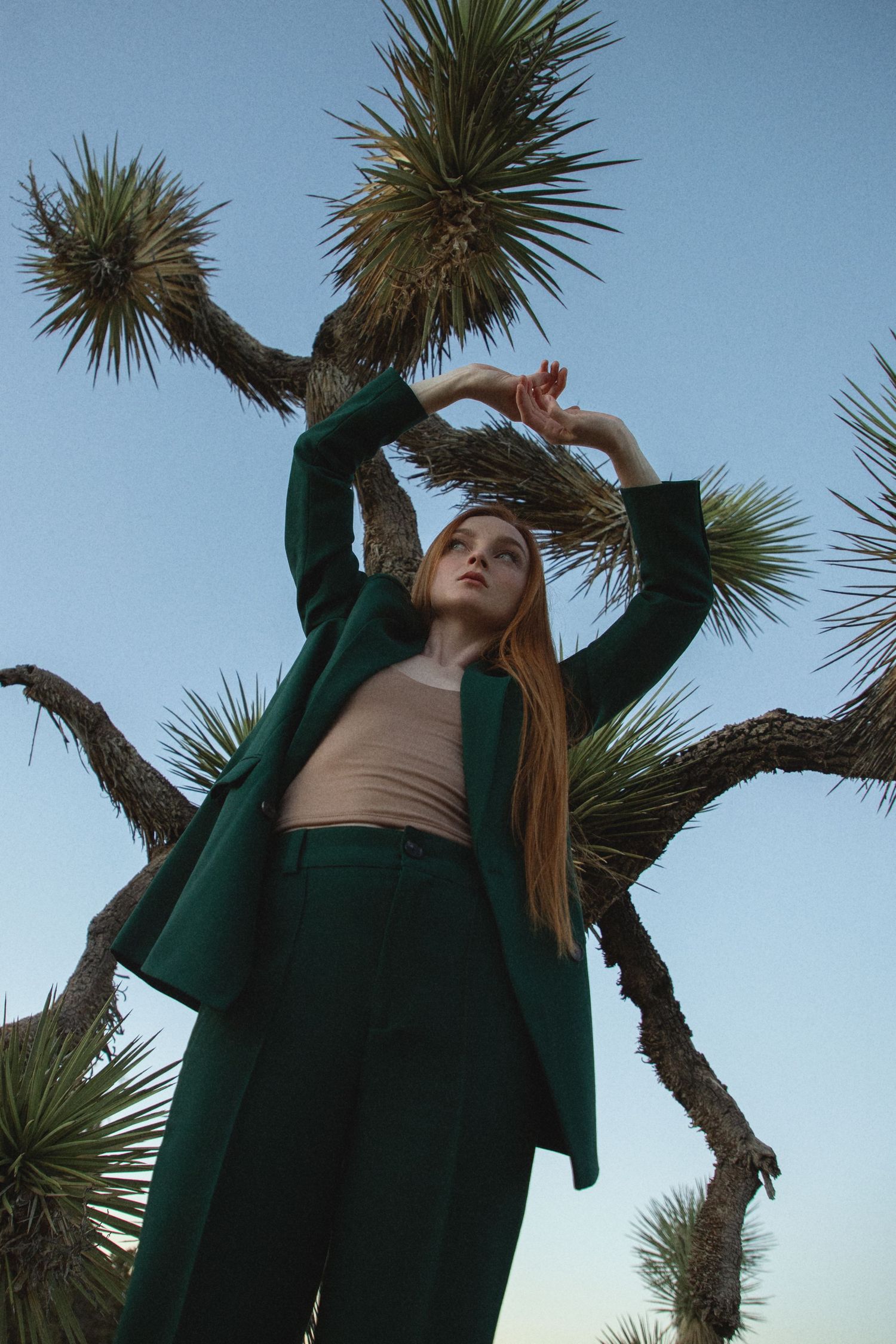 Woman’s portrait photoshoot in the desert with Joshua trees in California