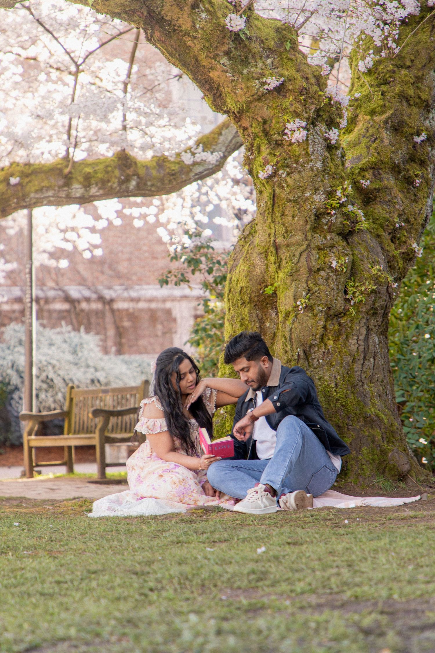 Couple enjoying a quiet picnic date beneath blooming cherry trees during a spring couples photoshoot in Seattle