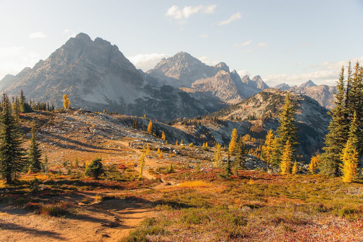 Wide alpine meadow with mountain views, Washington elopement scenery, North Cascades National park