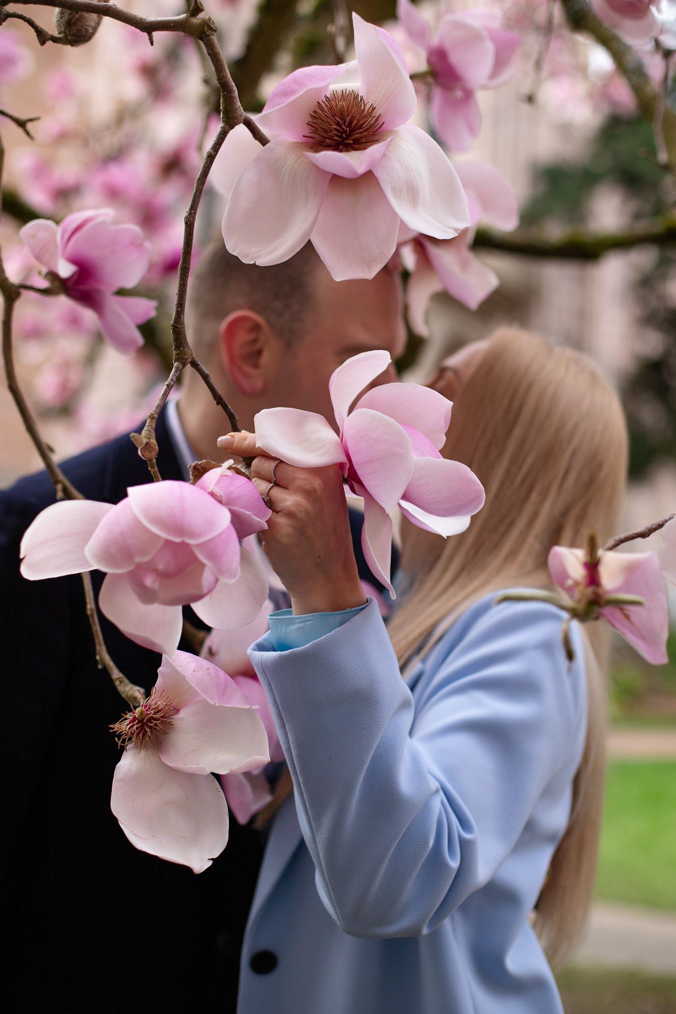 Seattle couples photographer capturing a cherry blossom couple photoshoot at the University of Washington campus
