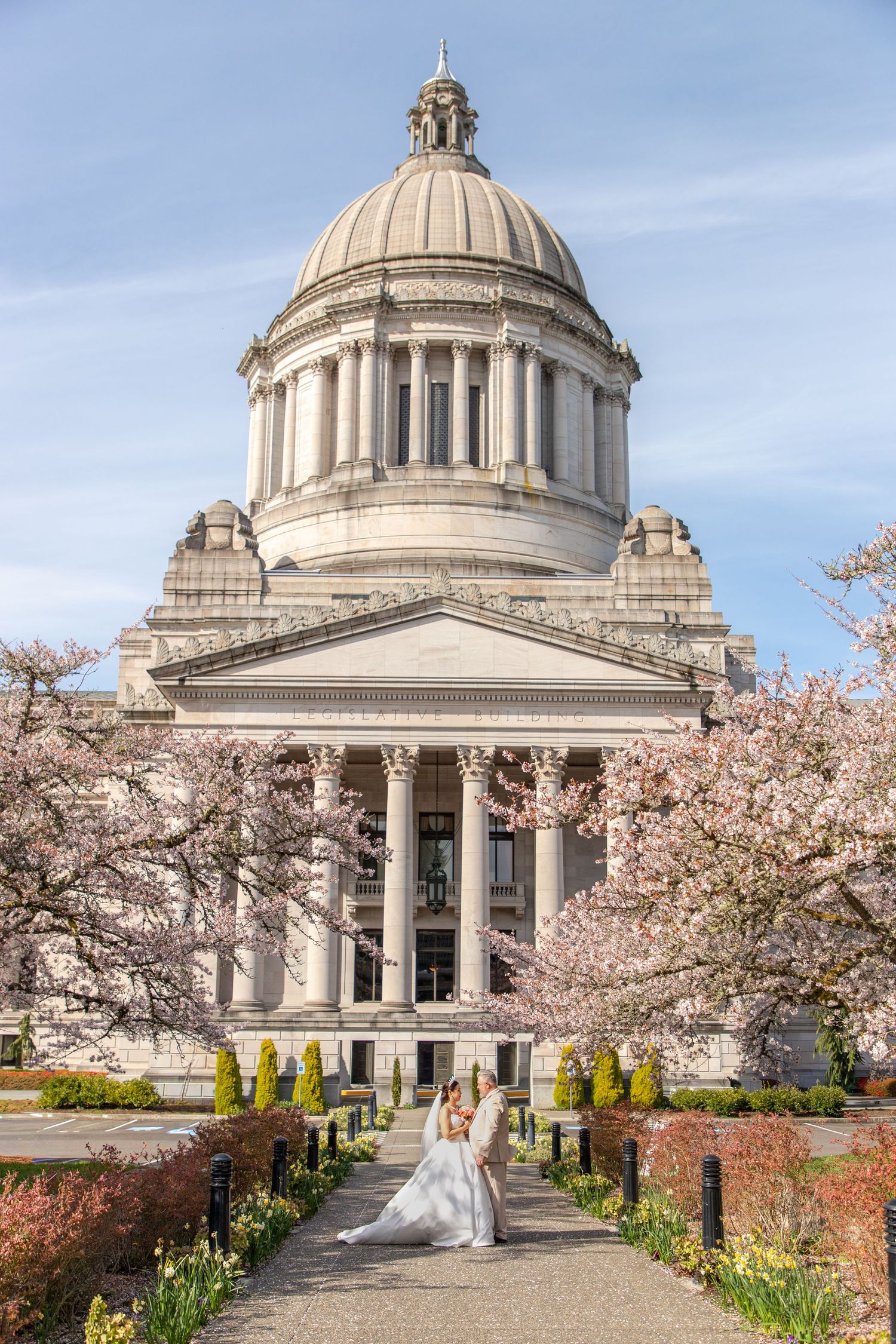 Bride and groom walking toward the Washington State Capitol building in Olympia during a spring elopement session with blooming cherry trees