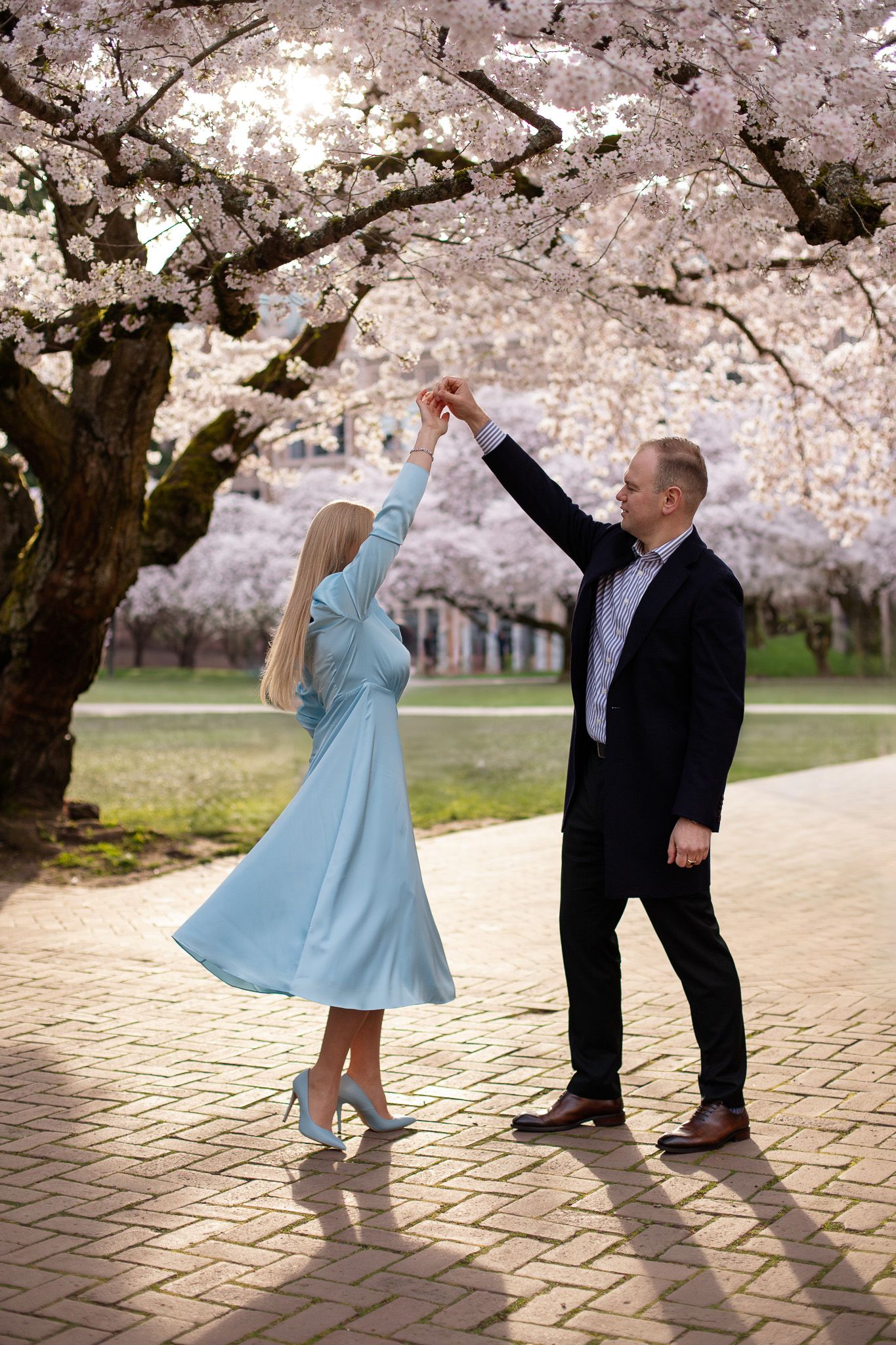 Seattle couples photographer documenting a spring cherry blossom photoshoot at UW
