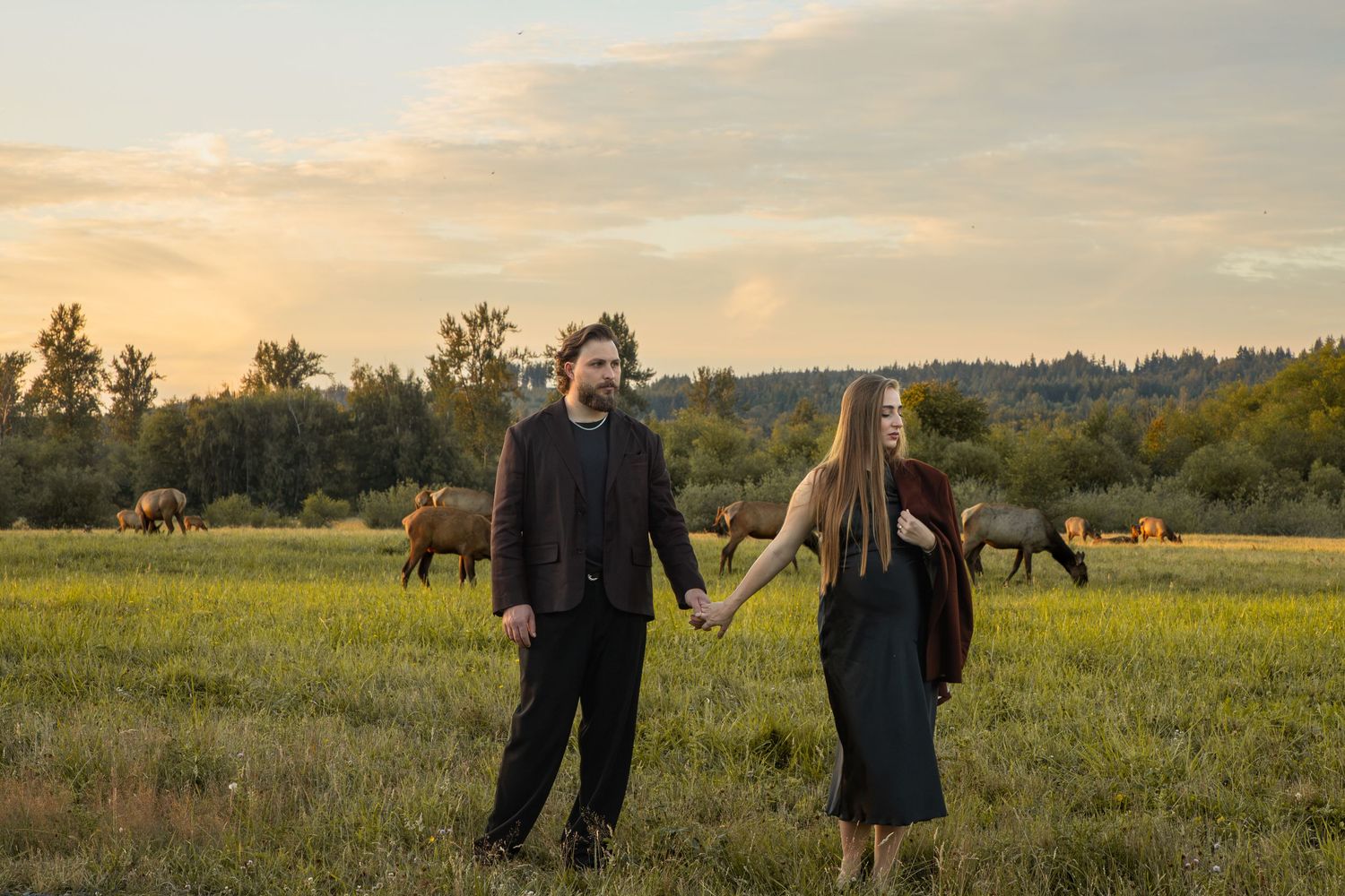Pregnant couple walking hand in hand through a meadow with elk grazing in the background
