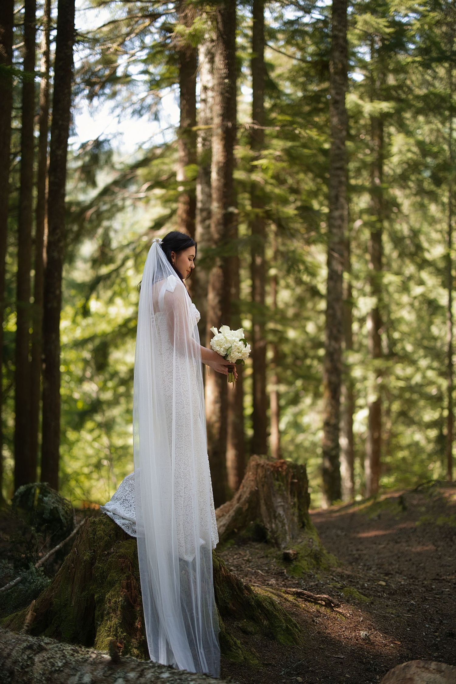 Bride holding a bouquet in an evergreen forest during an intimate Washington elopement session