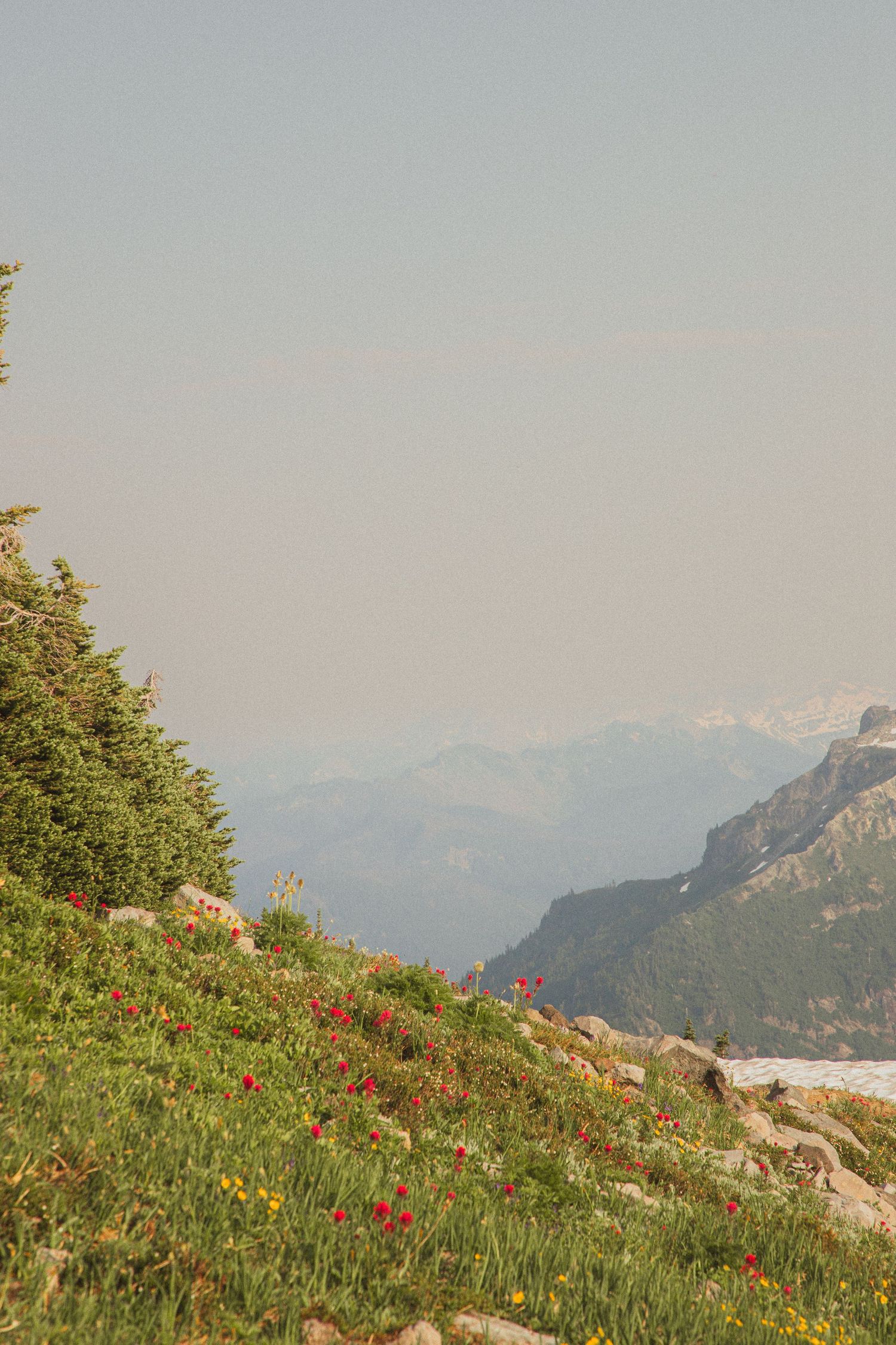 Mount Rainier mountain landscape with alpine meadows, Washington elopement location