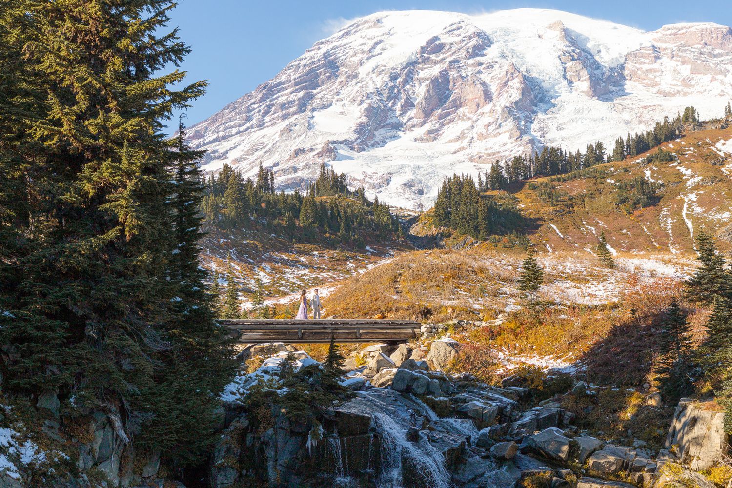 Seattle engagement photographer focusing on intimate moments at a Mount Rainier National Park engagement session