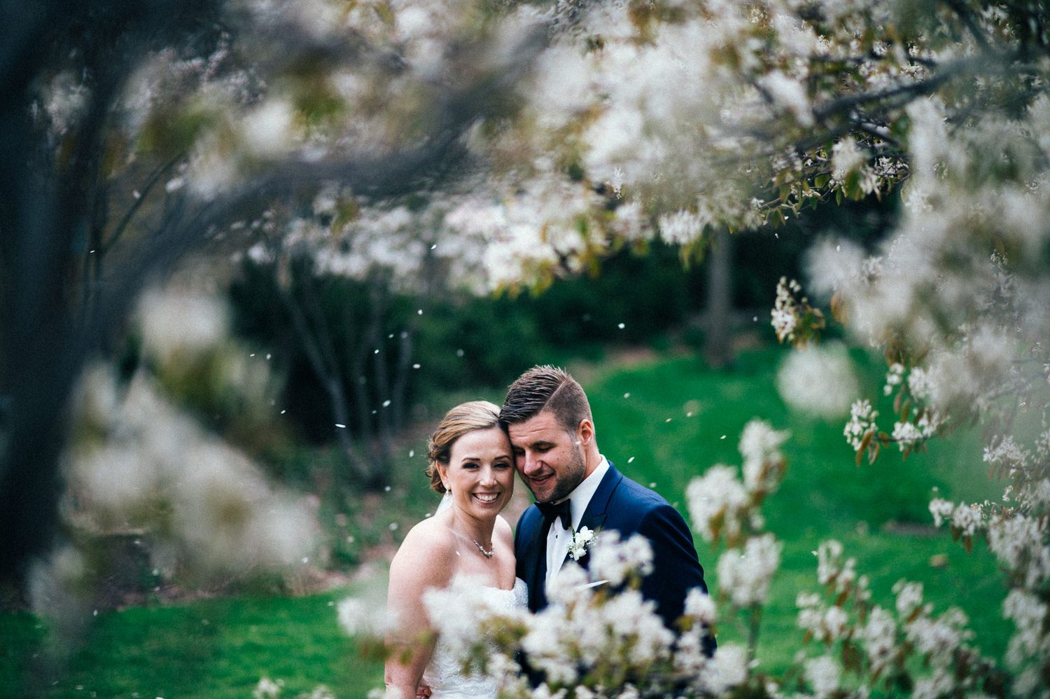 A romantic wedding photo through blossoming spring tree branches.
