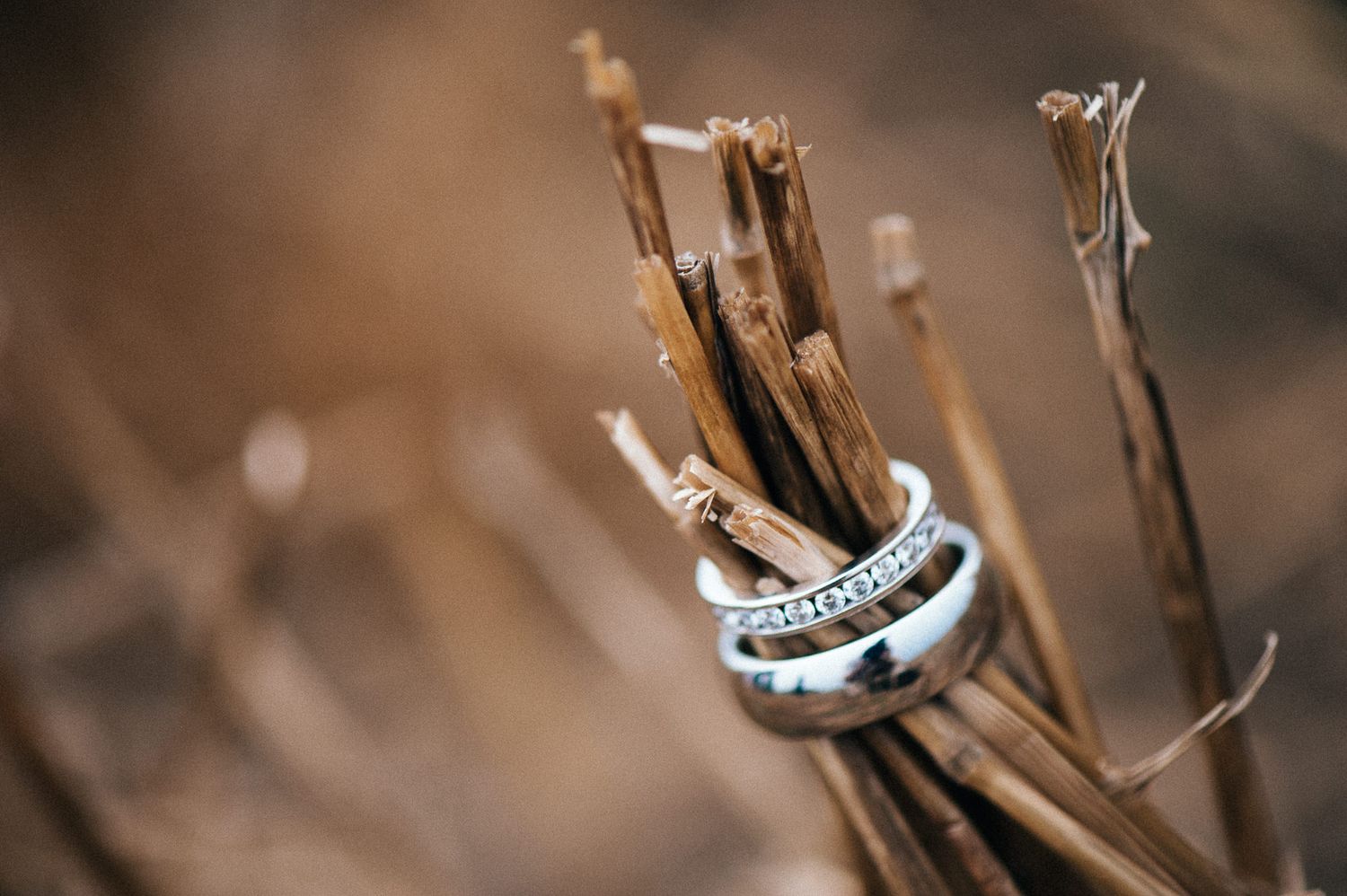 Close-up of wedding rings artistically placed on natural twigs.