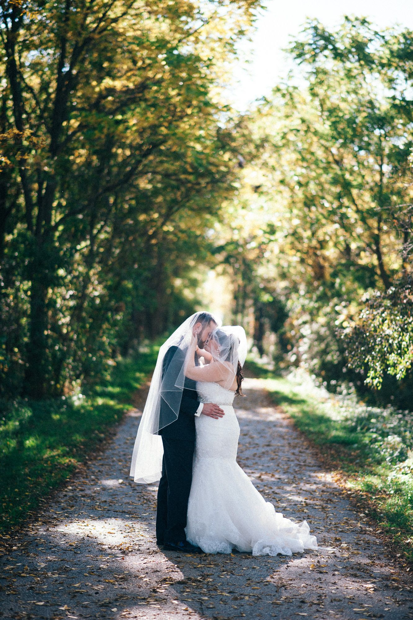 Newlyweds share romantic kiss on tree-lined path in golden sunlight.