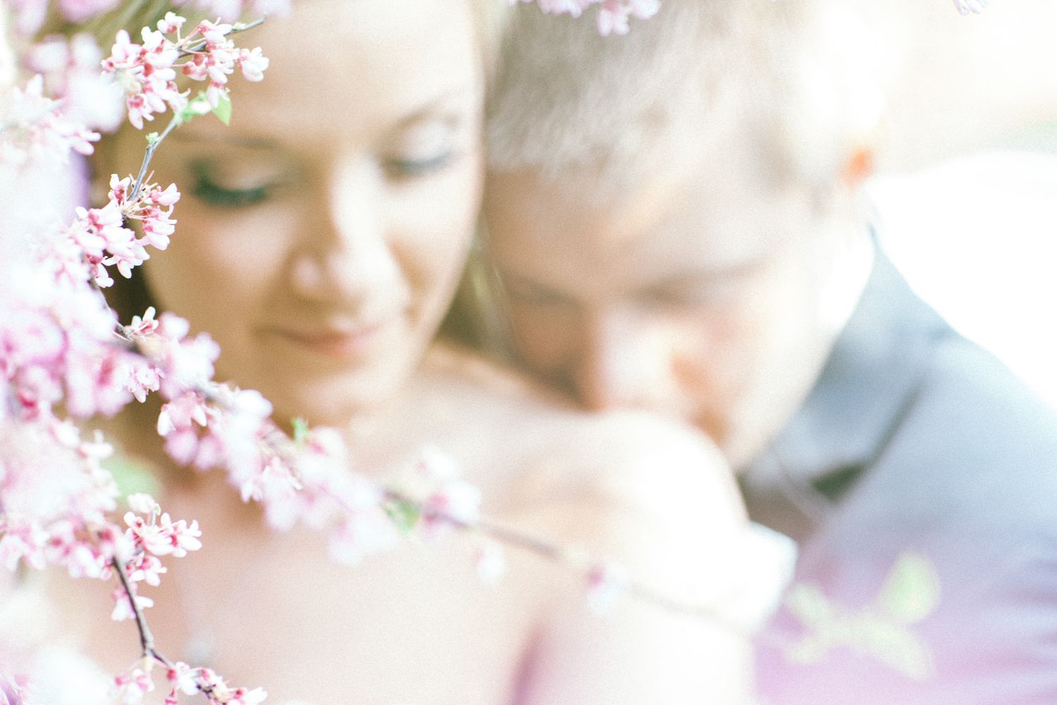 Dreamy wedding portrait with soft focus cherry blossoms in the background.