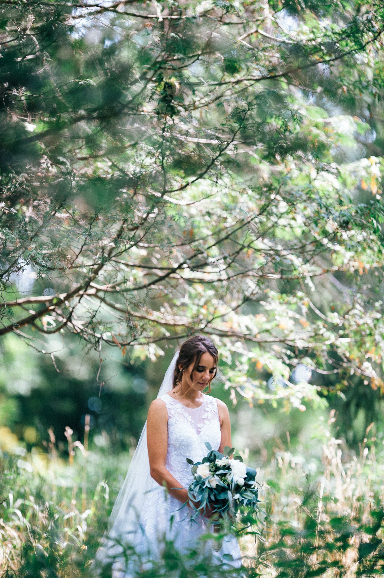 Elegant wedding scene under blooming cherry blossom trees with soft natural lighting.