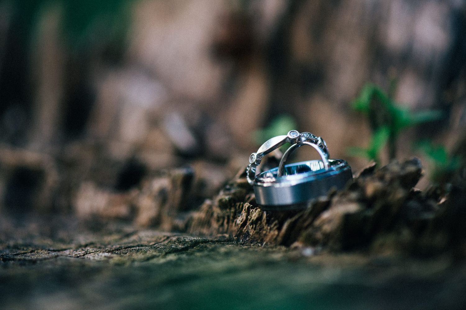Artistic macro photography of wedding rings with natural bokeh background.
