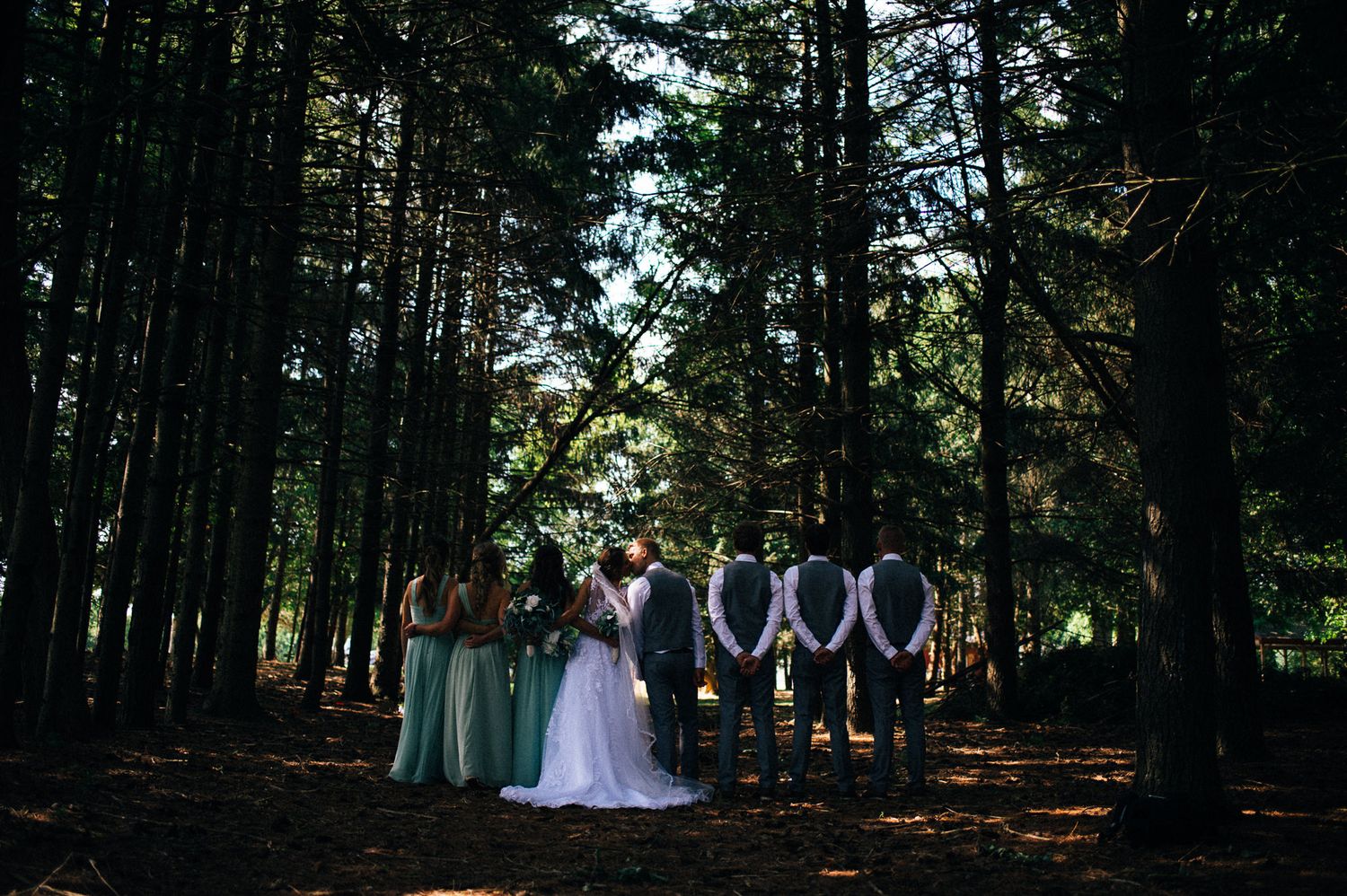 Wedding party poses in dramatic forest setting with tall pine trees creating natural archway.