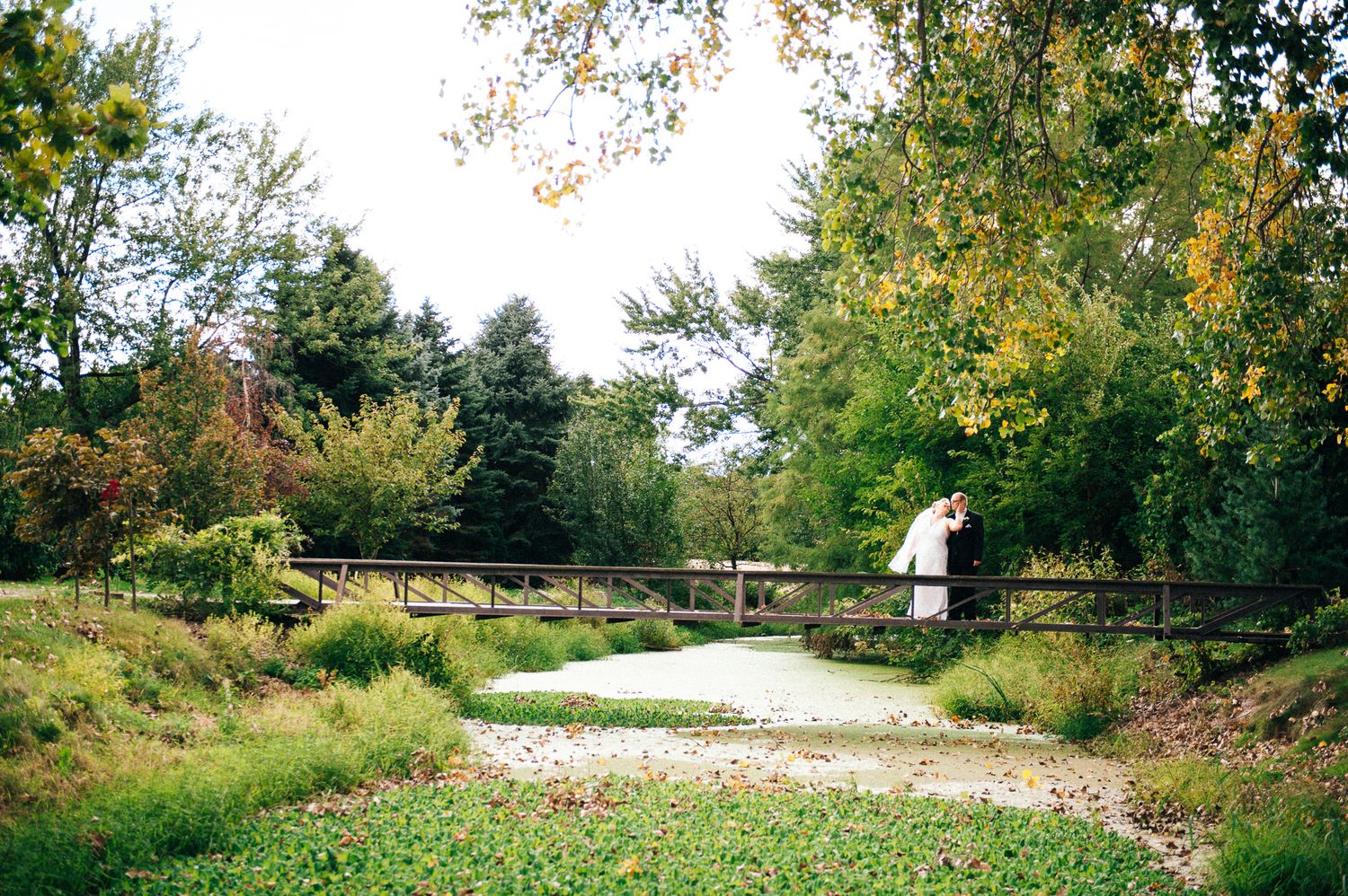 Serene landscape of a winding path through autumn trees and gardens.