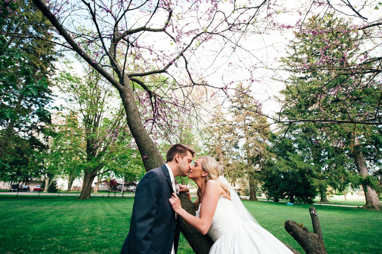 Spring wedding photos under blooming cherry blossom trees in a garden setting.