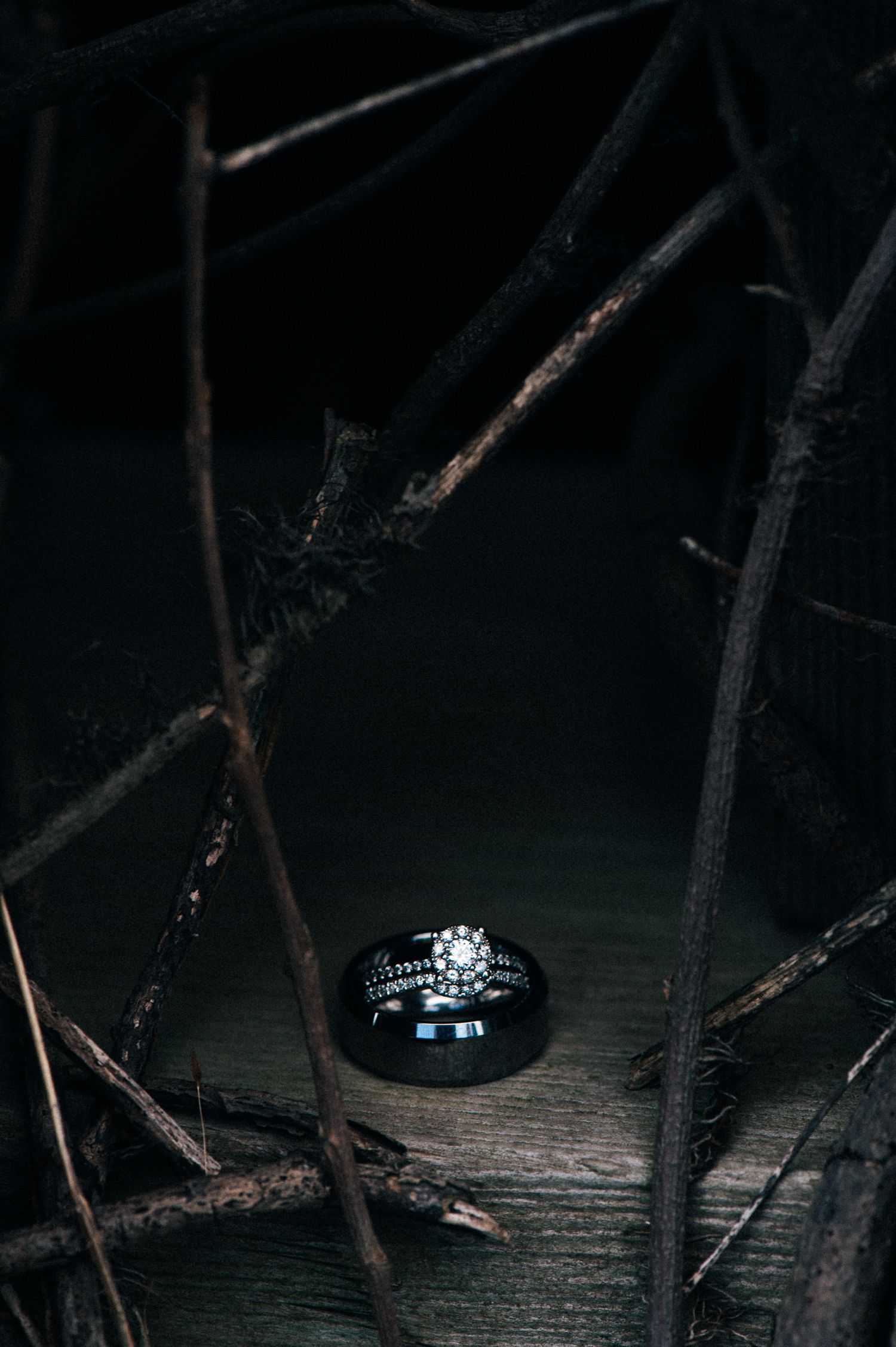Wedding rings photographed in dramatic lighting with natural twigs and branches.