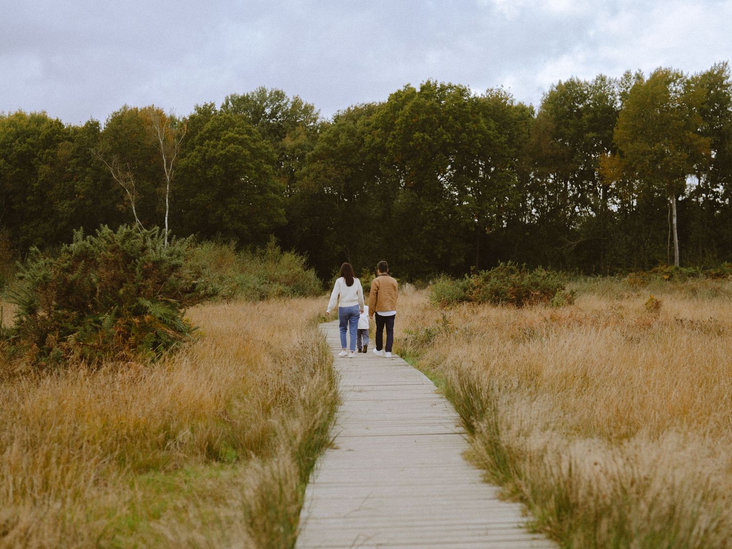 Photographed in October.