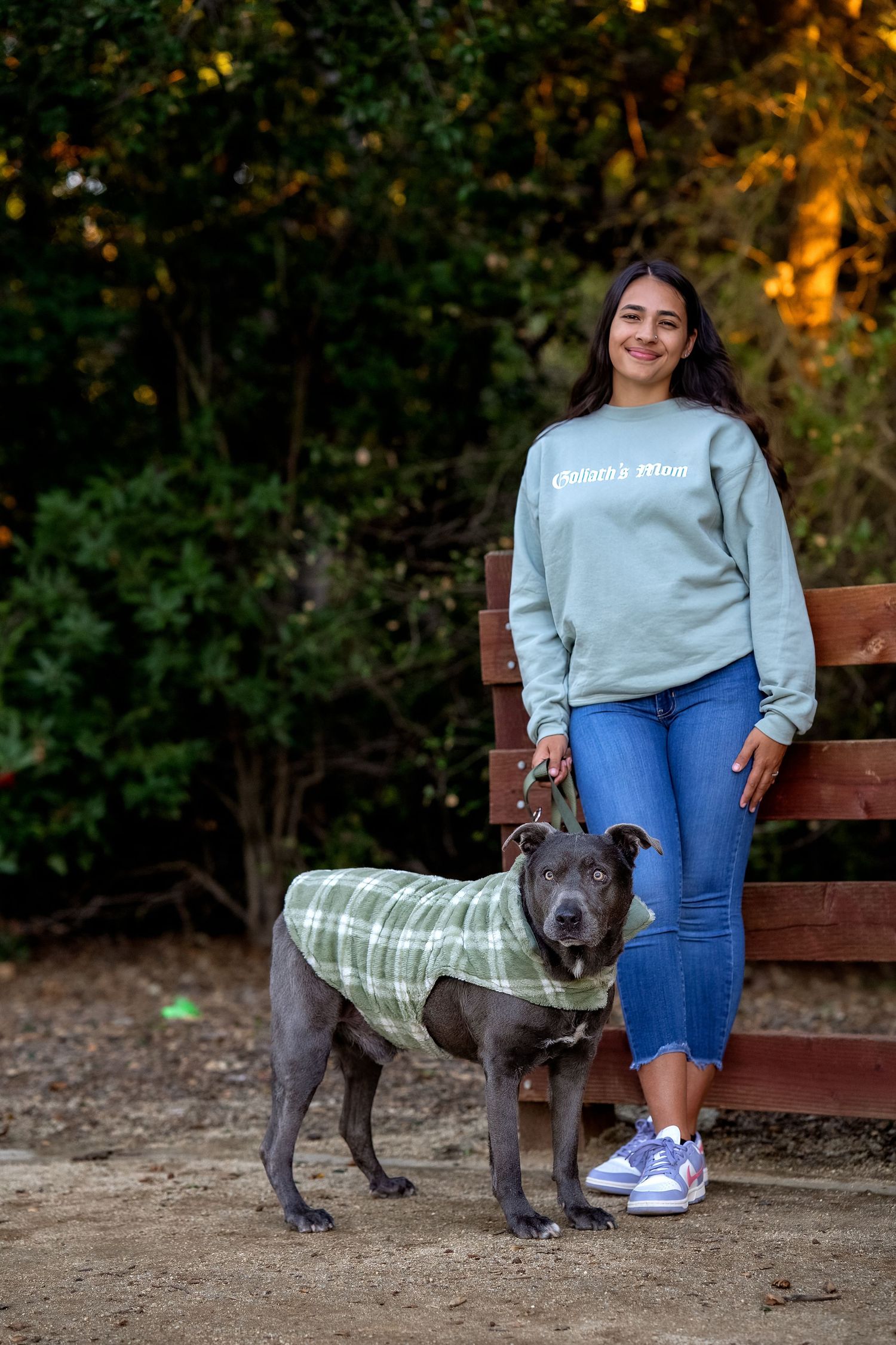 Grey dog wearing plaid coat stands next to park bench in autumn setting.