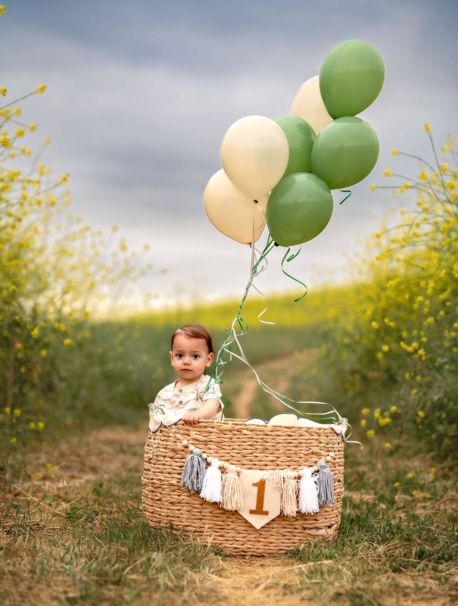 Baby sitting in wicker basket with green and cream balloons in a field of yellow flowers.