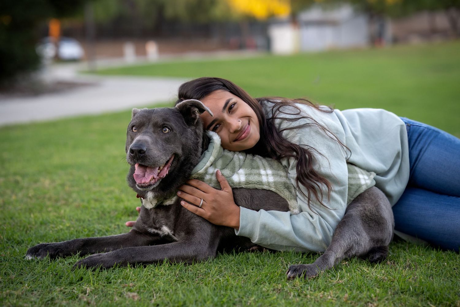 Grey dog and companion relaxing together on grassy lawn.