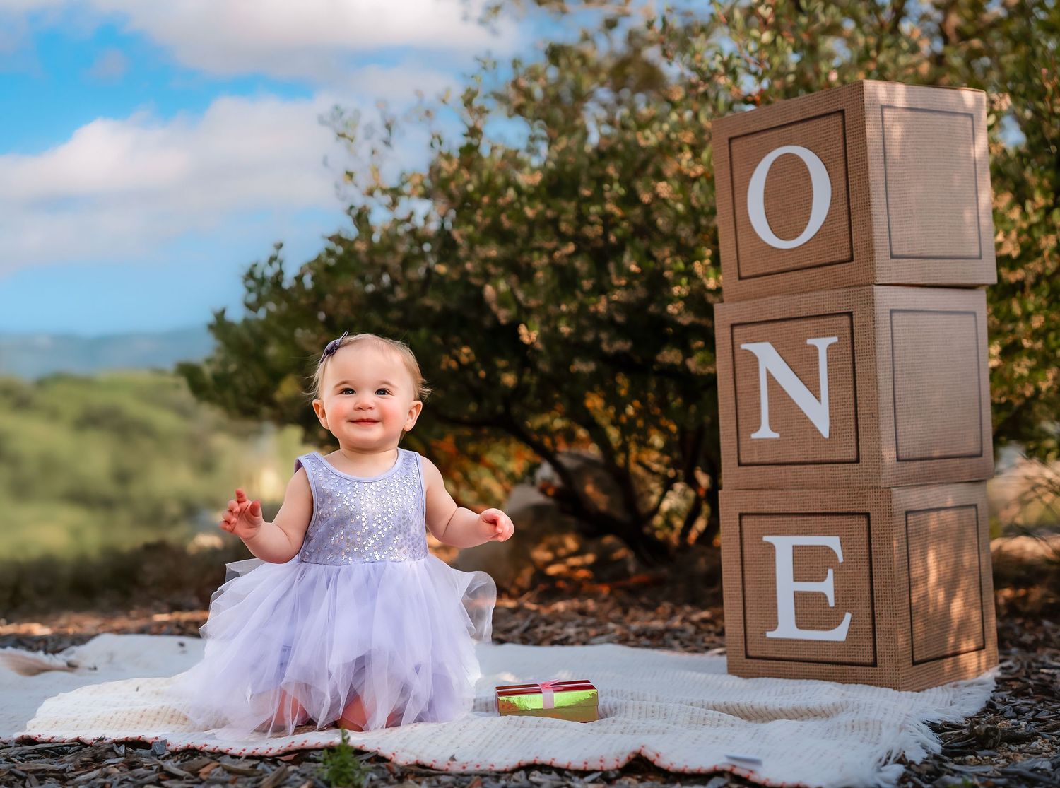 Baby milestone photos with wooden alphabet blocks on rustic outdoor setting.