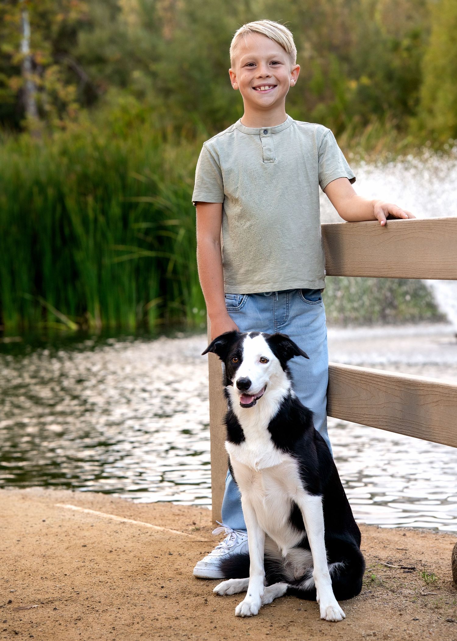 A black and white border collie sits on a wooden bench by a lake.