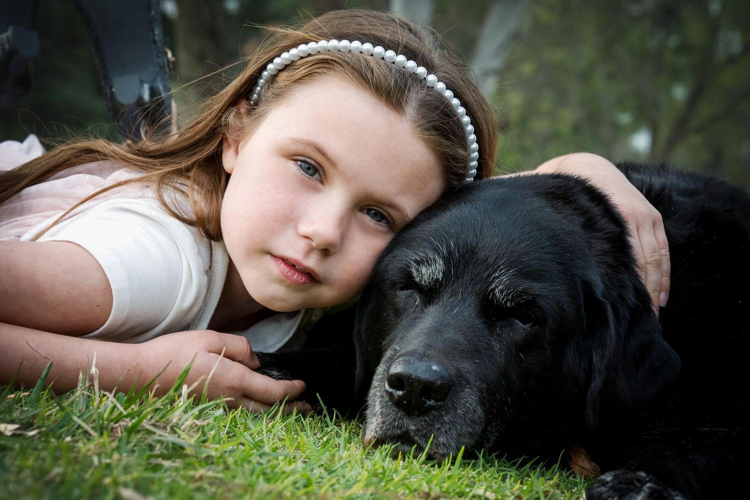 A black dog lying in the grass with soft natural lighting.