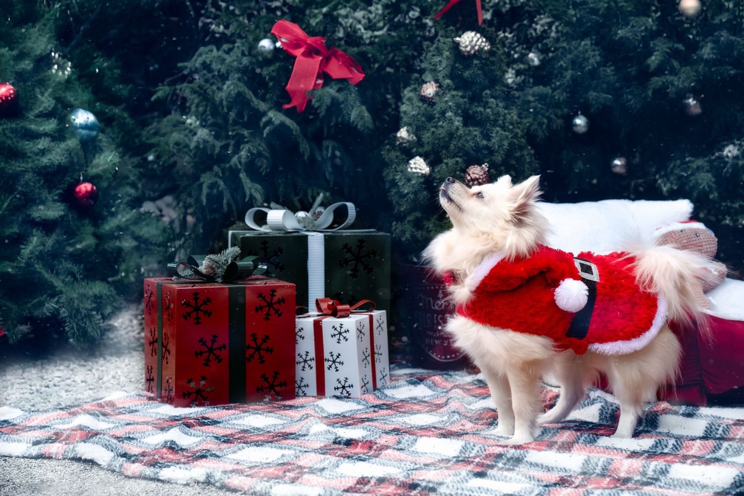 Festive Christmas scene with wrapped red presents and decorative elements in snowy setting.