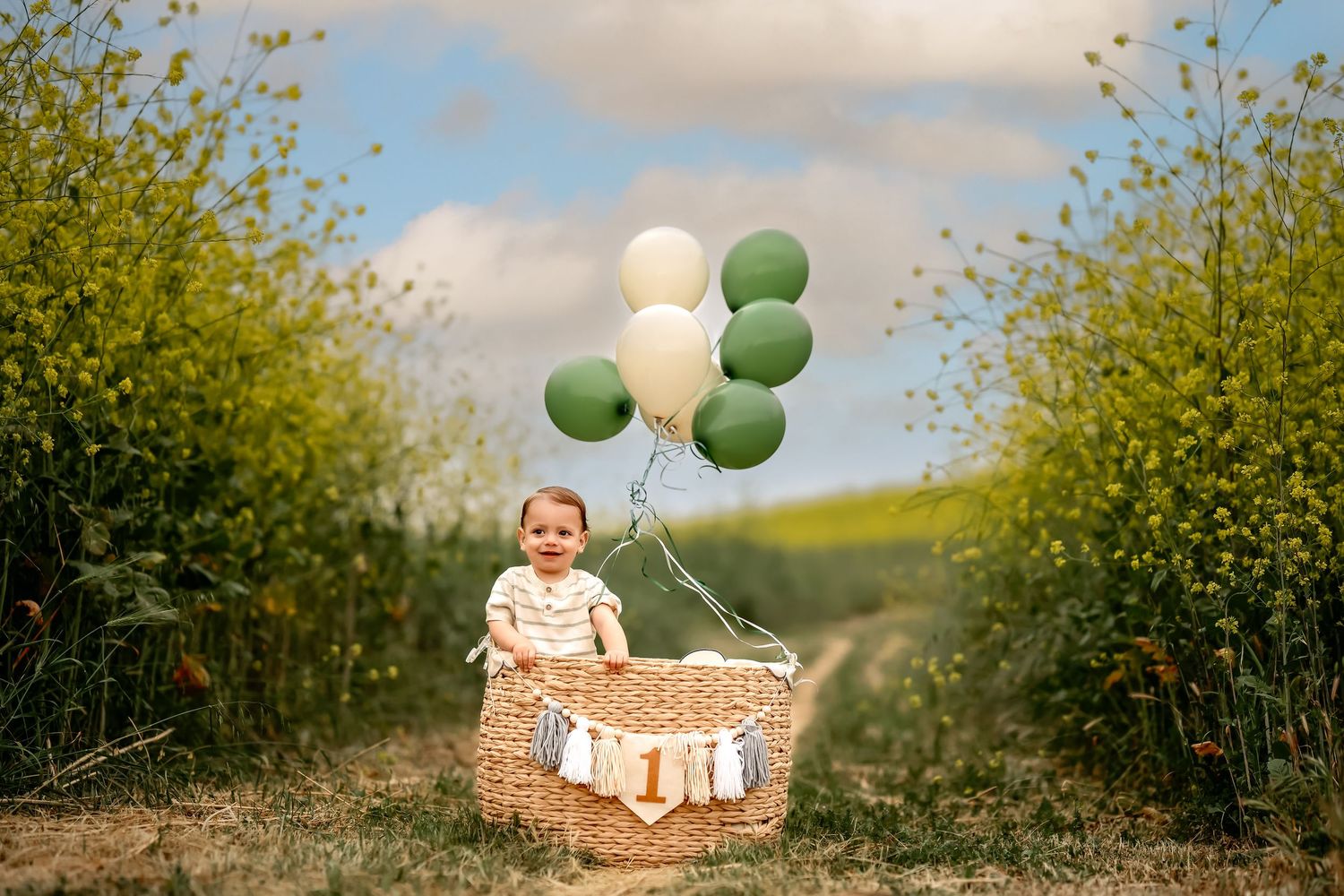 Wicker basket with green and white balloons in a scenic outdoor setting with blooming yellow flowers.