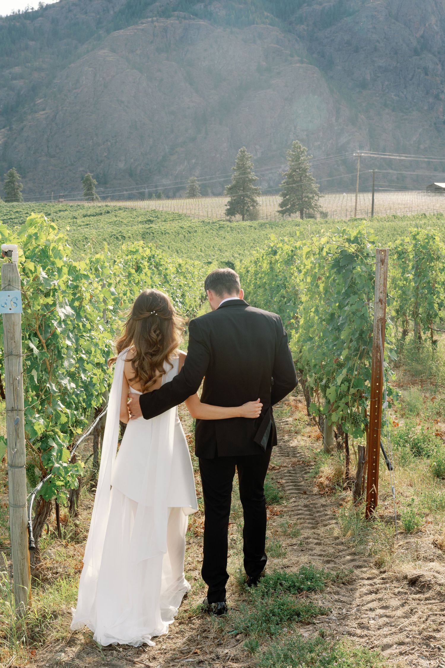 Bride and groom walk arm in arm through a sunny vineyard with mountain views on their wedding day.