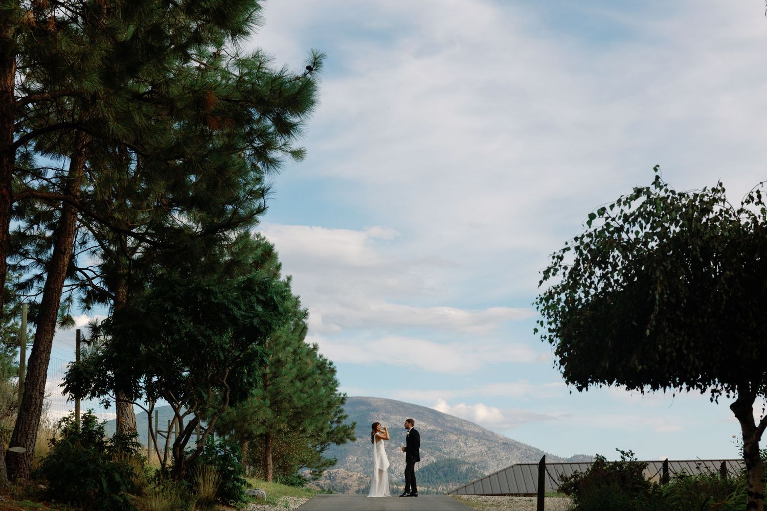 Bride and groom stand together on a scenic road surrounded by tall trees with mountains in the background.